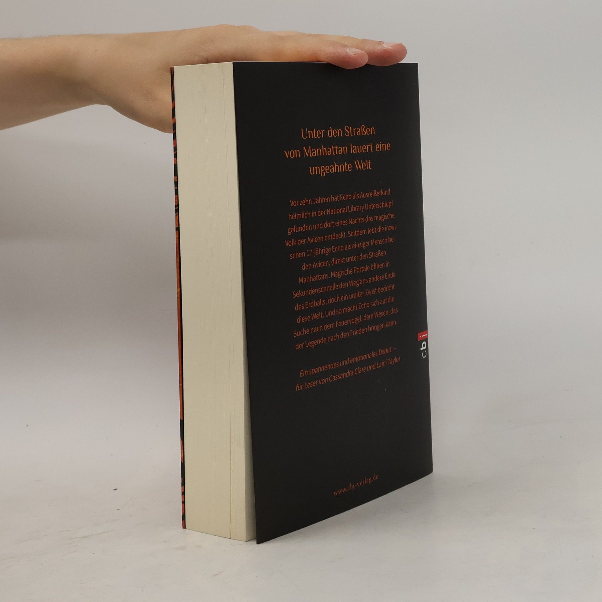 Melissa Grey Midnight Girl: Das Lied des Feuervogels