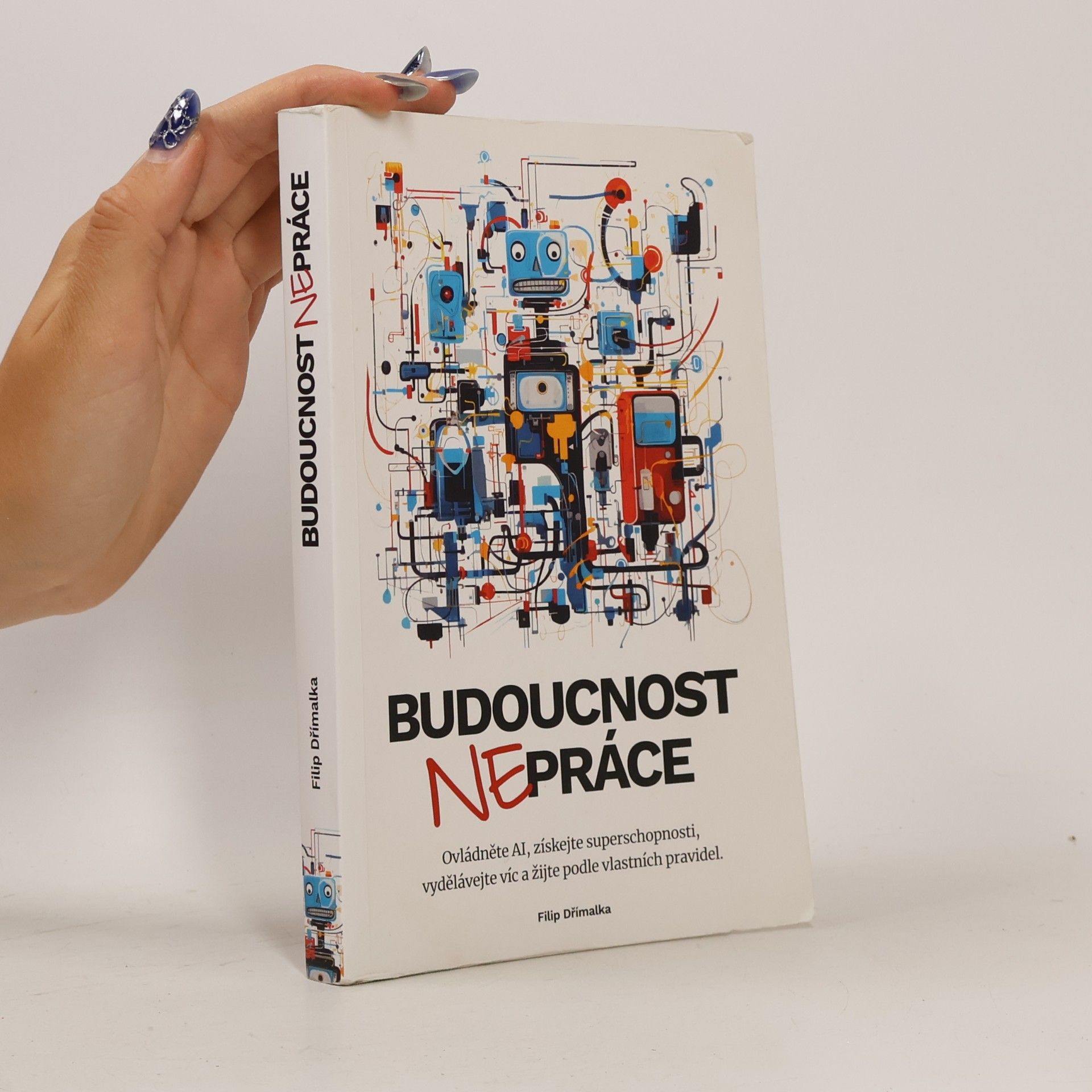 Budoucnost nepráce