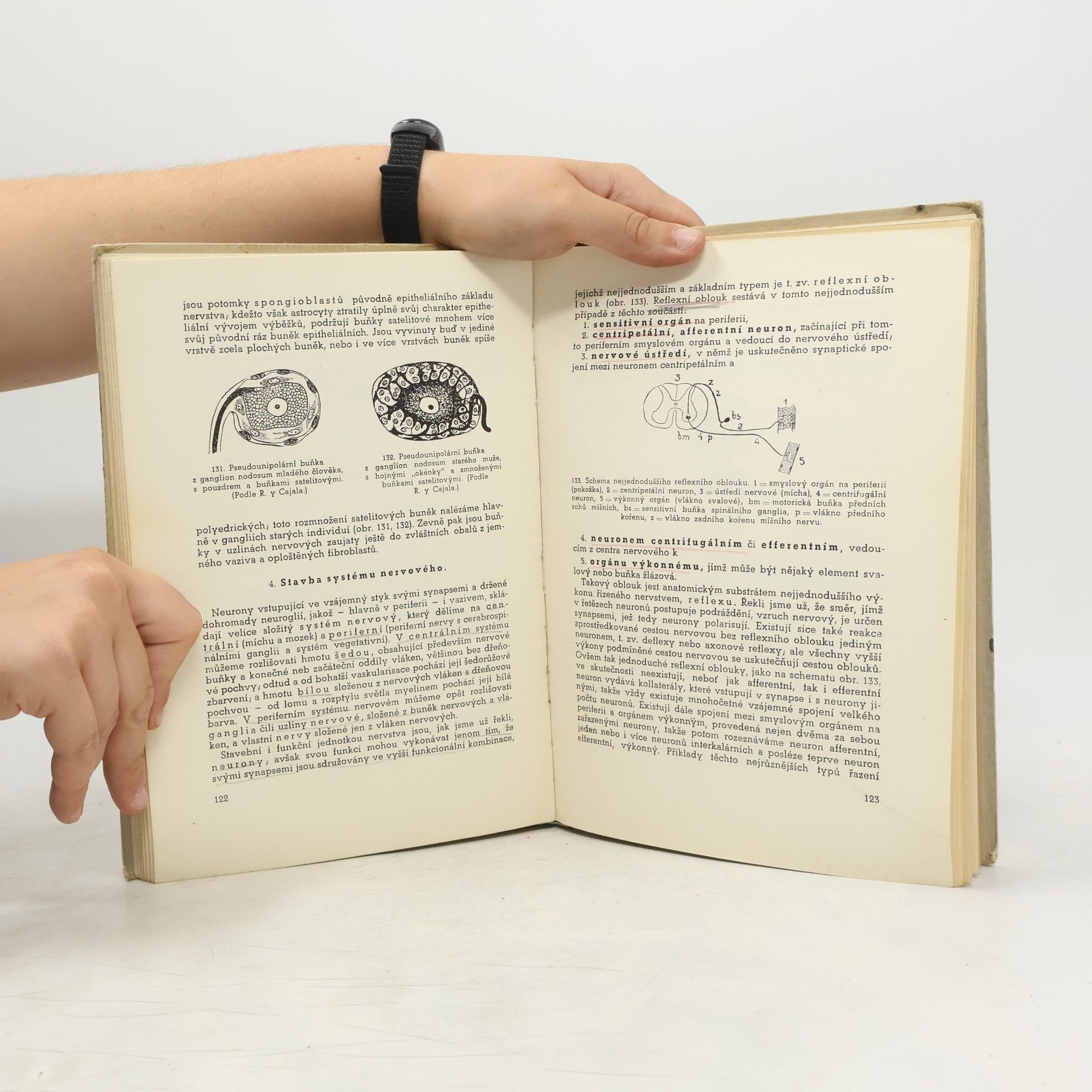 Zdeněk Frankenberger Stručná učebnice histologie