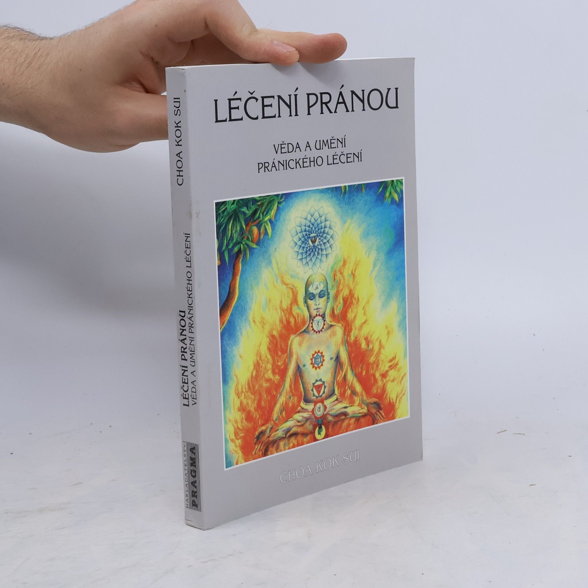 Ivan Prokeš Léčení pránou: Věda a umění pránického léčení