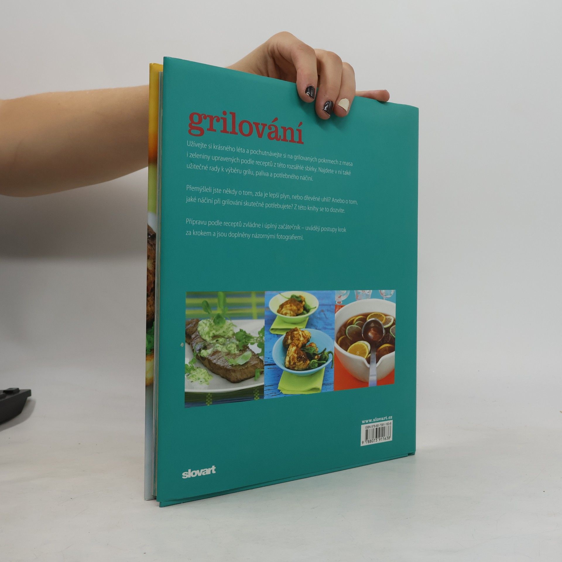 Various authors Grilování. Příprava chutných pokrmů na venkovním grilu
