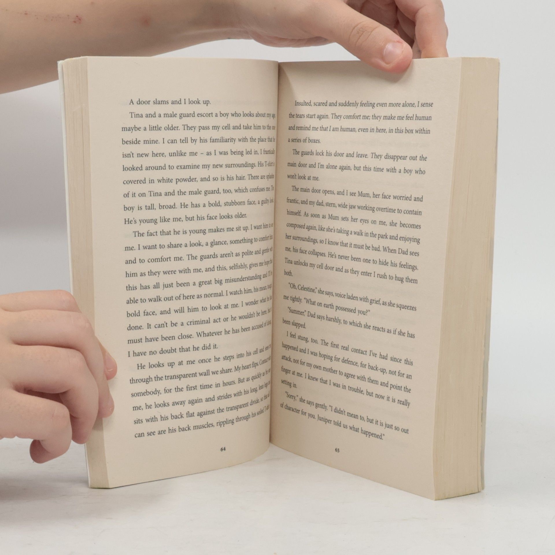 Cecelia Ahern Flawed
