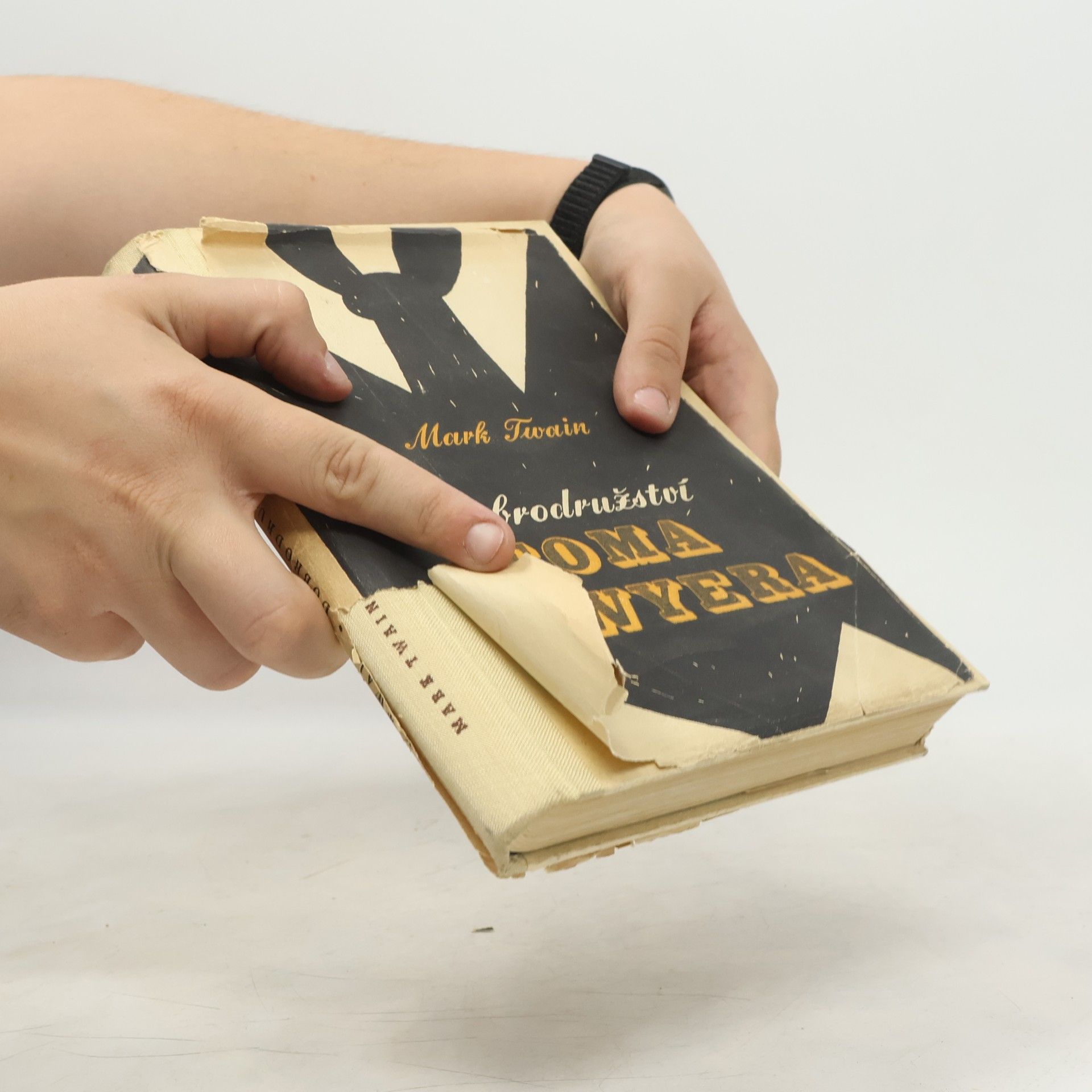Mark Twain Dobrodružství Toma Sawyera