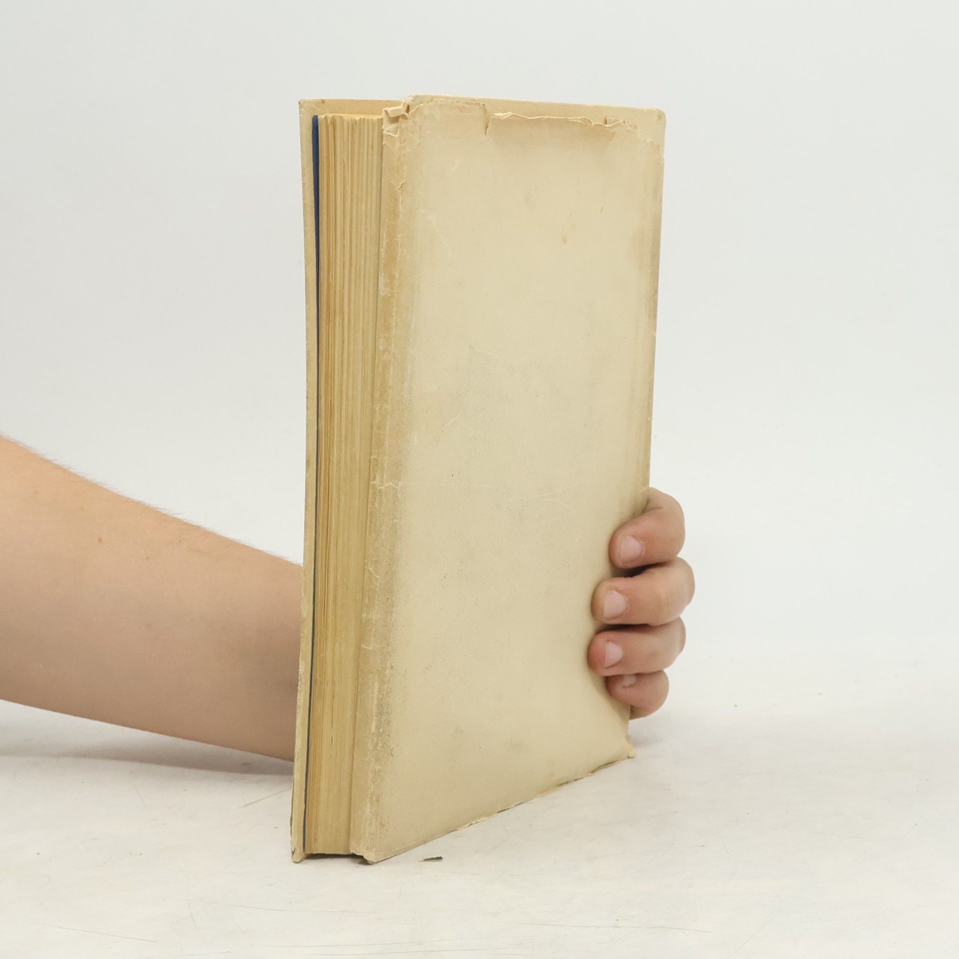 Mark Twain Dobrodružství Toma Sawyera