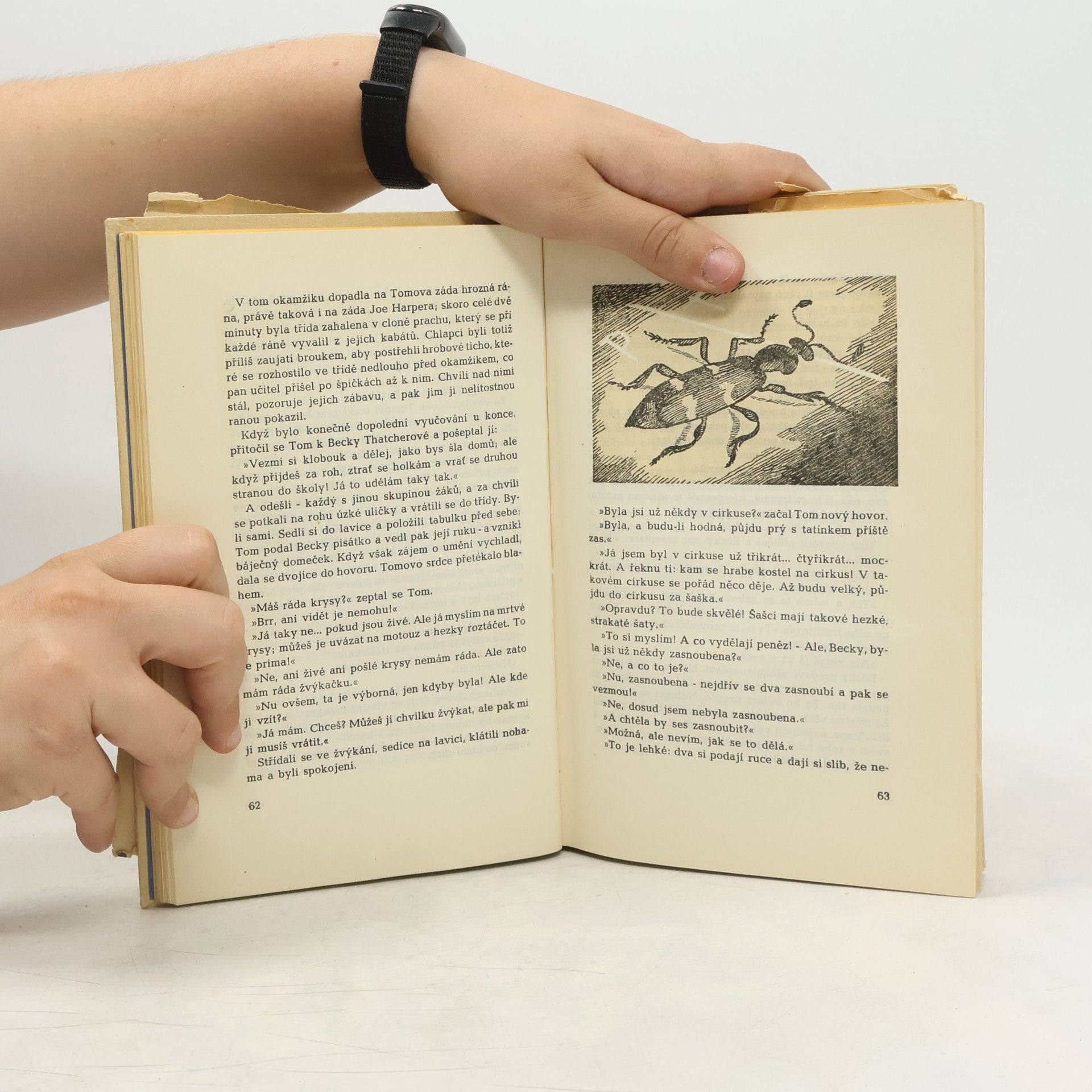 Mark Twain Dobrodružství Toma Sawyera