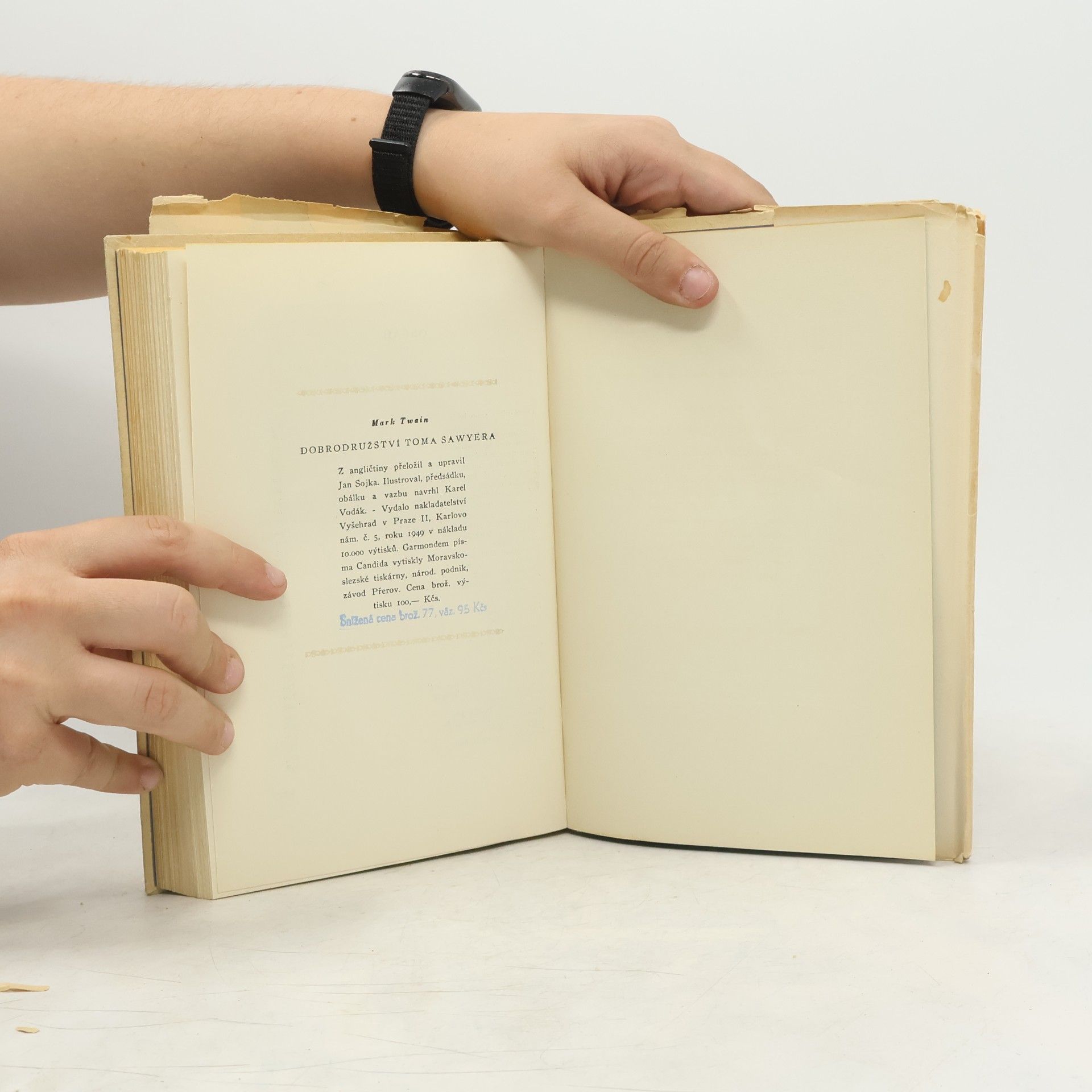 Mark Twain Dobrodružství Toma Sawyera