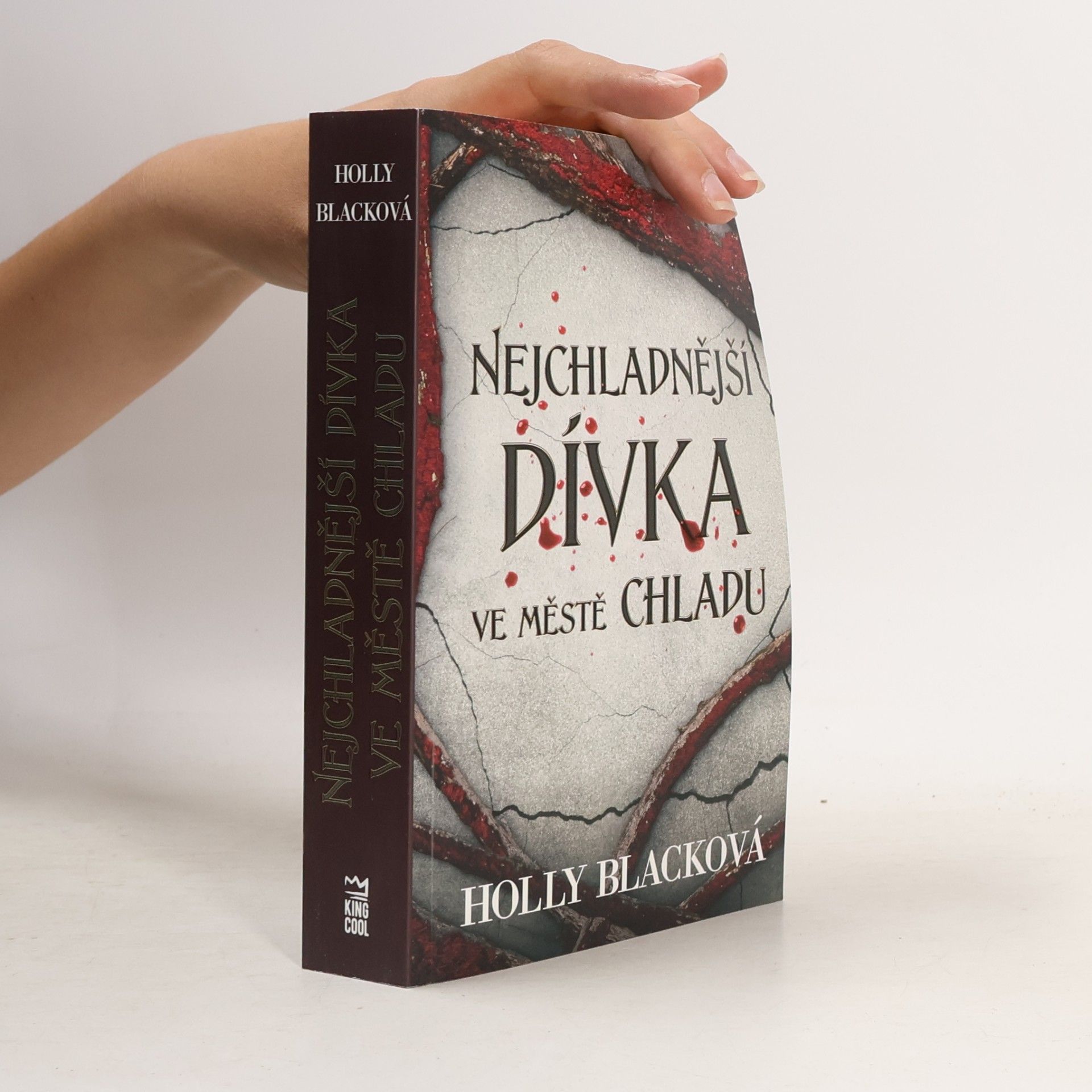 Holly Black Nejchladnější dívka ve městě chladu