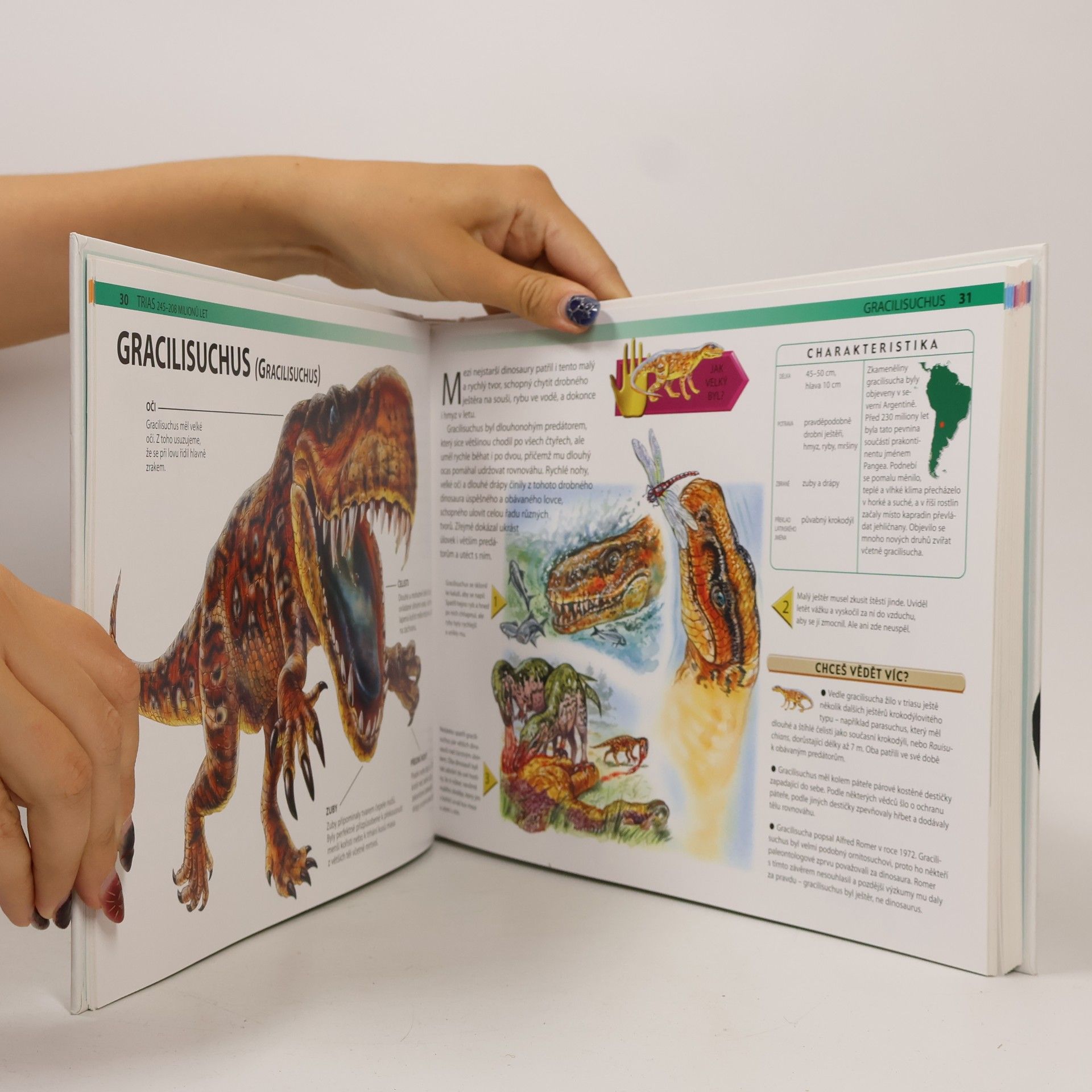 Veronica Ross Dinosauři - Fascinující svět pravěkých obrů