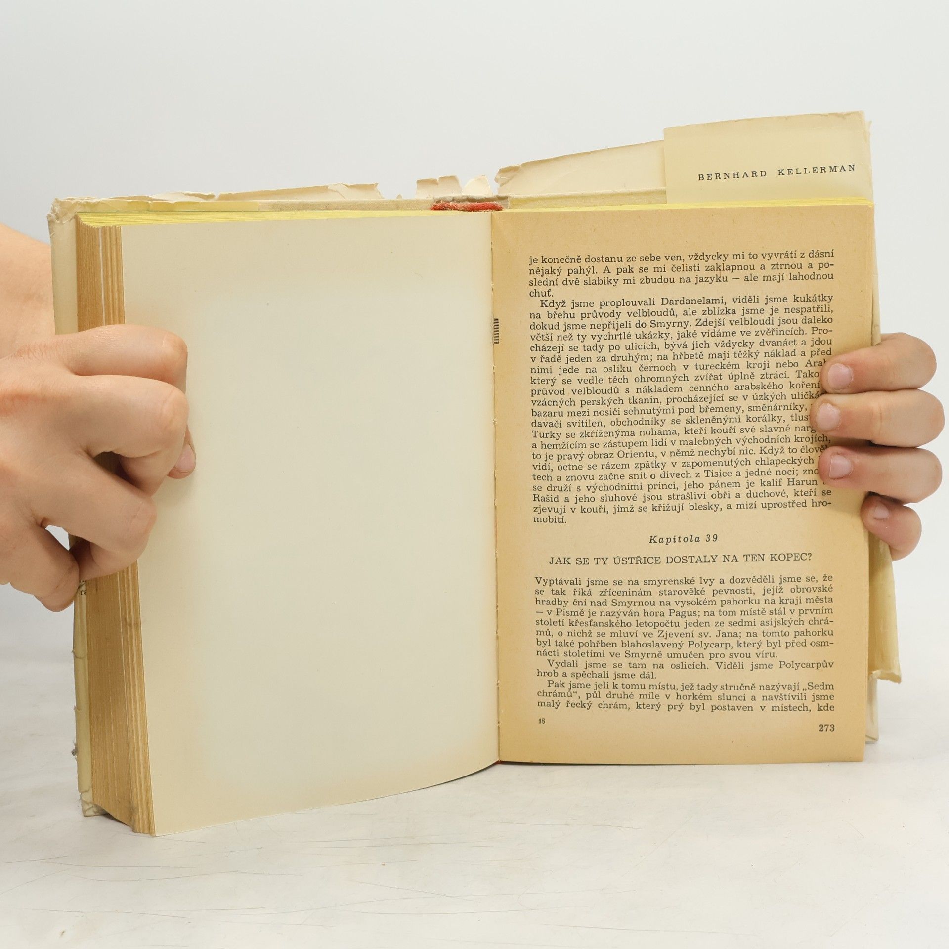 Mark Twain Našinci na cestách