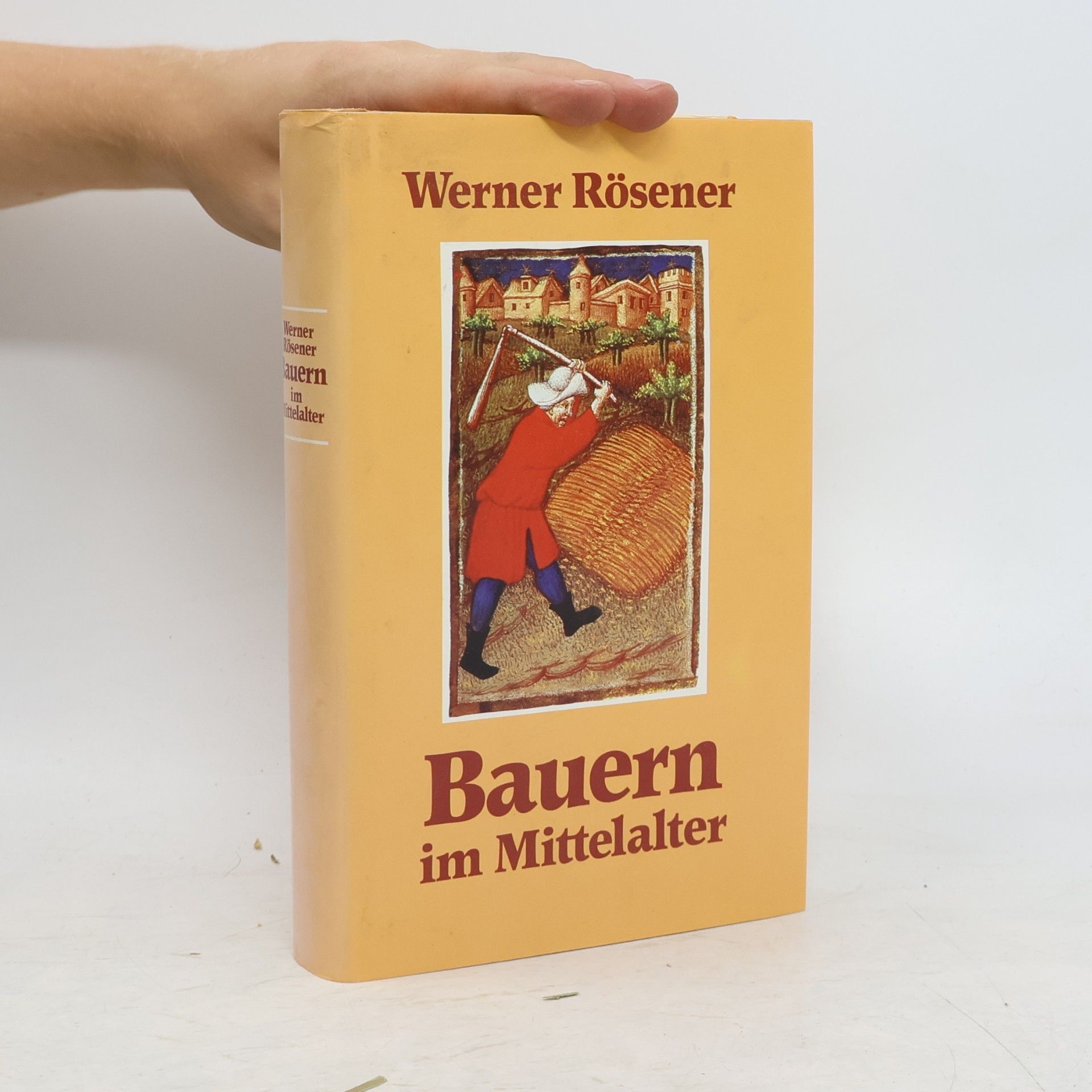 Werner Rösener Bauern im Mittelalter