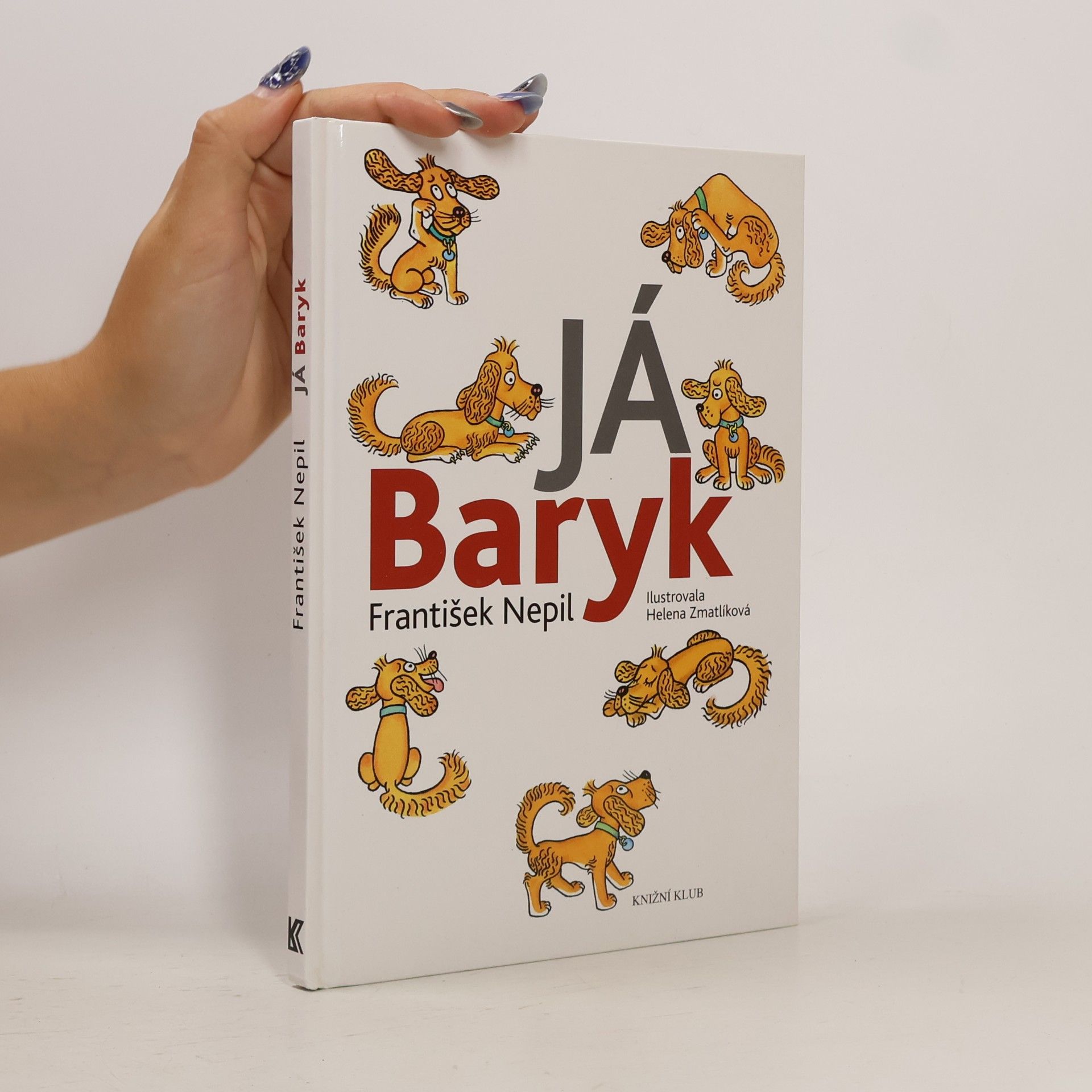 Já, Baryk