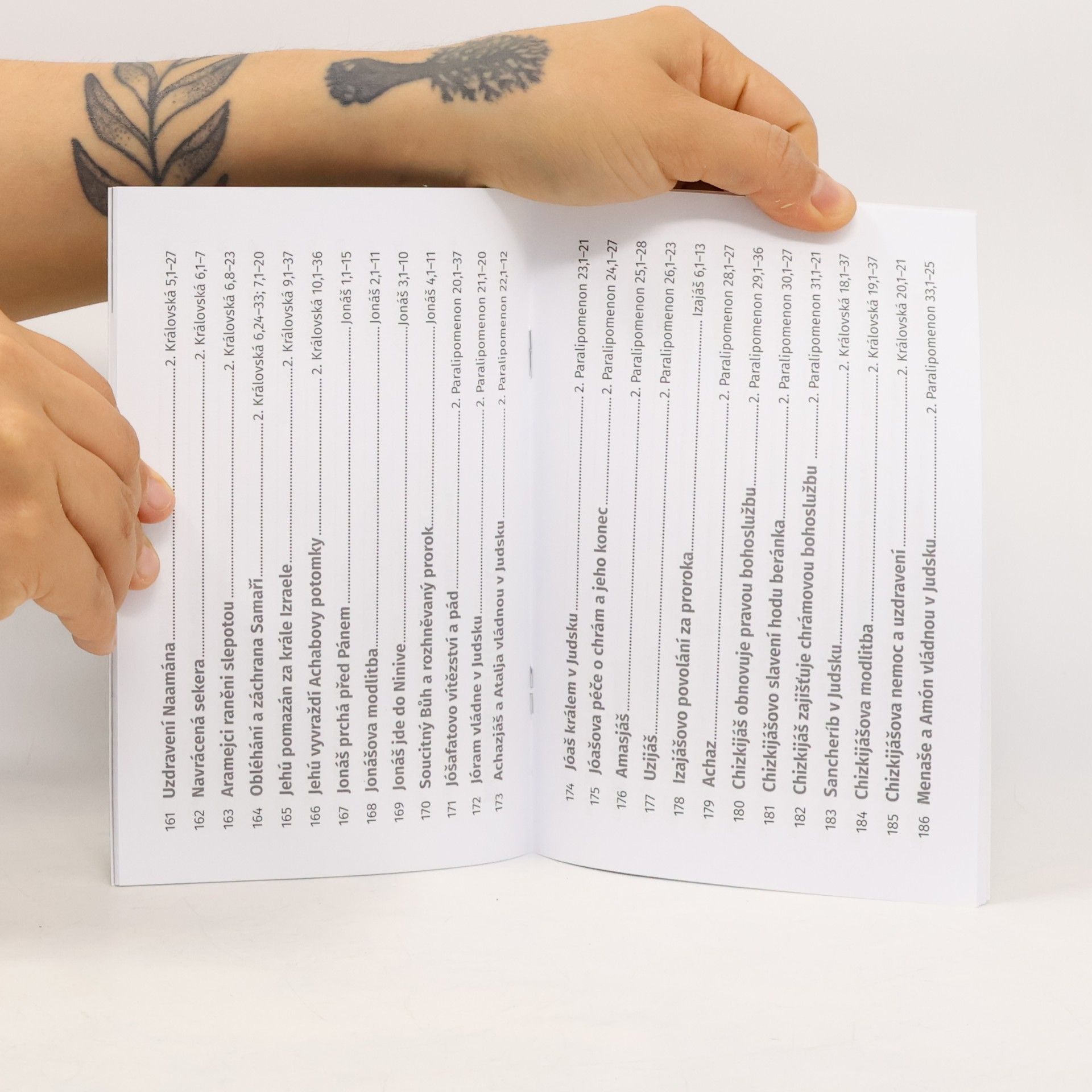 Autorenkollektiv 365 příběhů naděje