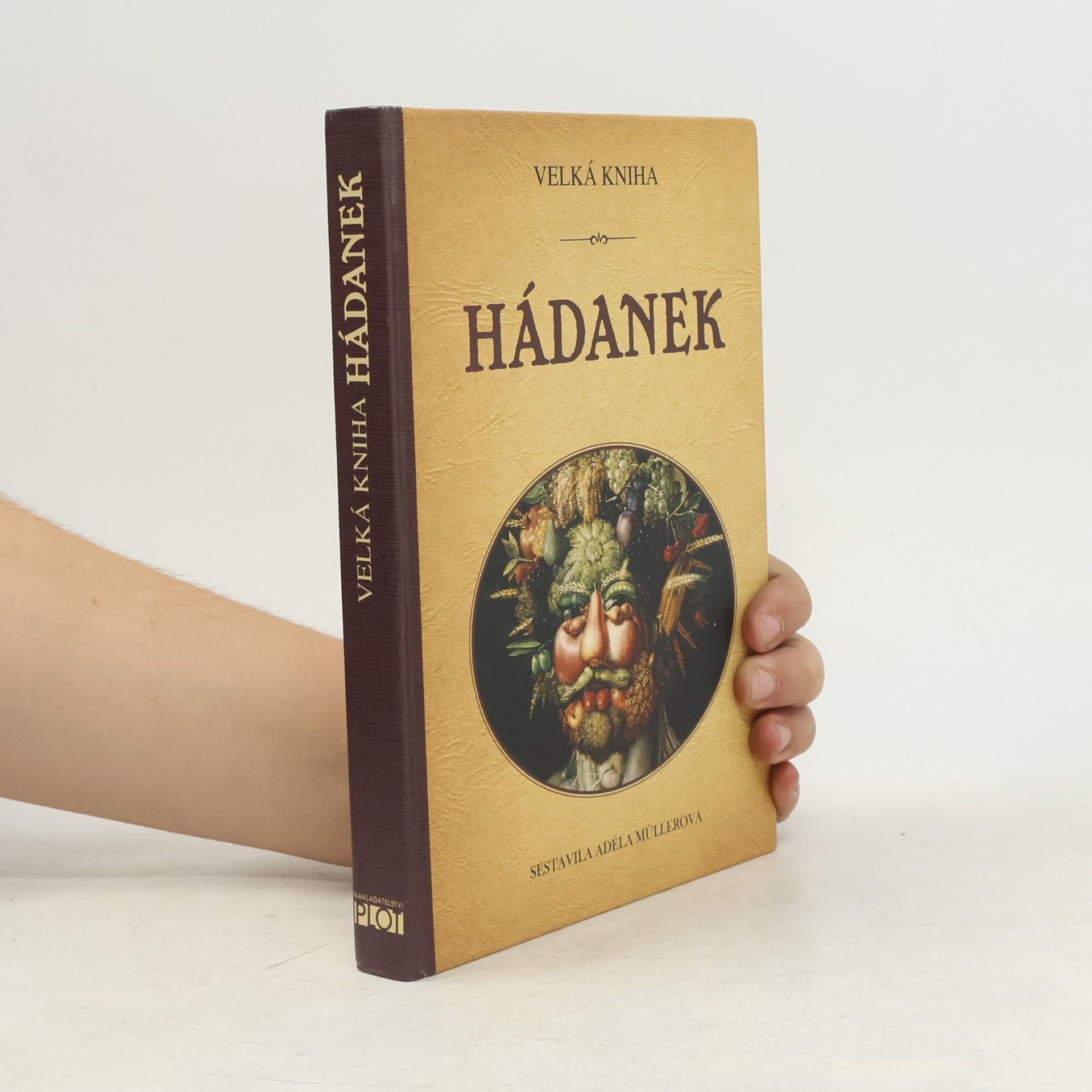Adéla Müllerová Velká kniha hádanek