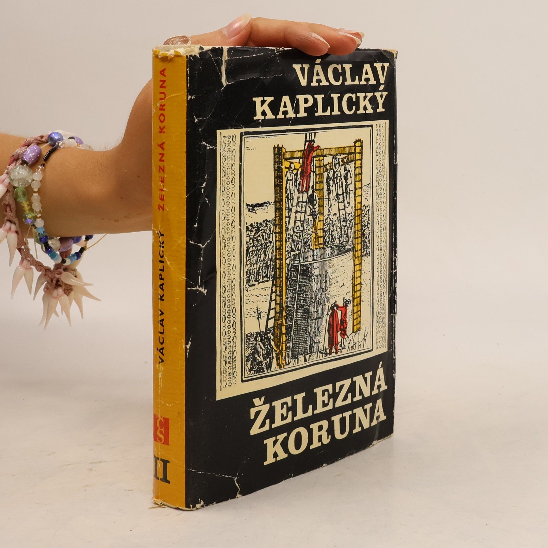 Václav Kaplický Železná koruna II.