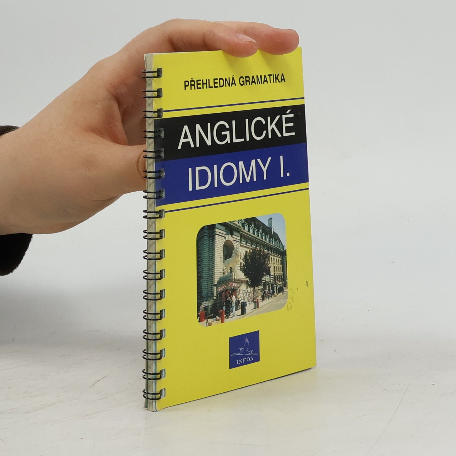 Kelly De Sarla Přehledná gramatika - anglické idiomy I.