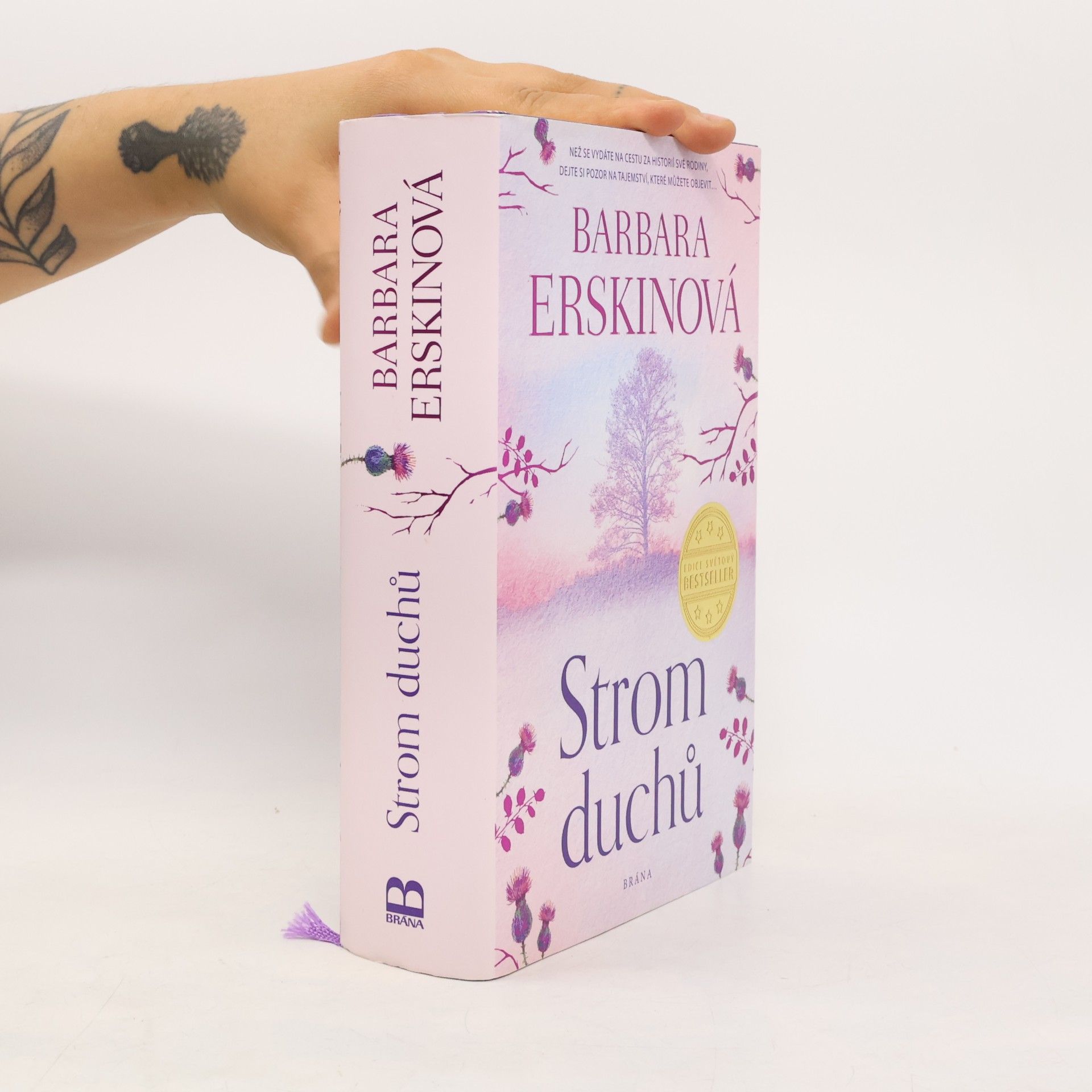 Barbara Erskine Strom duchů