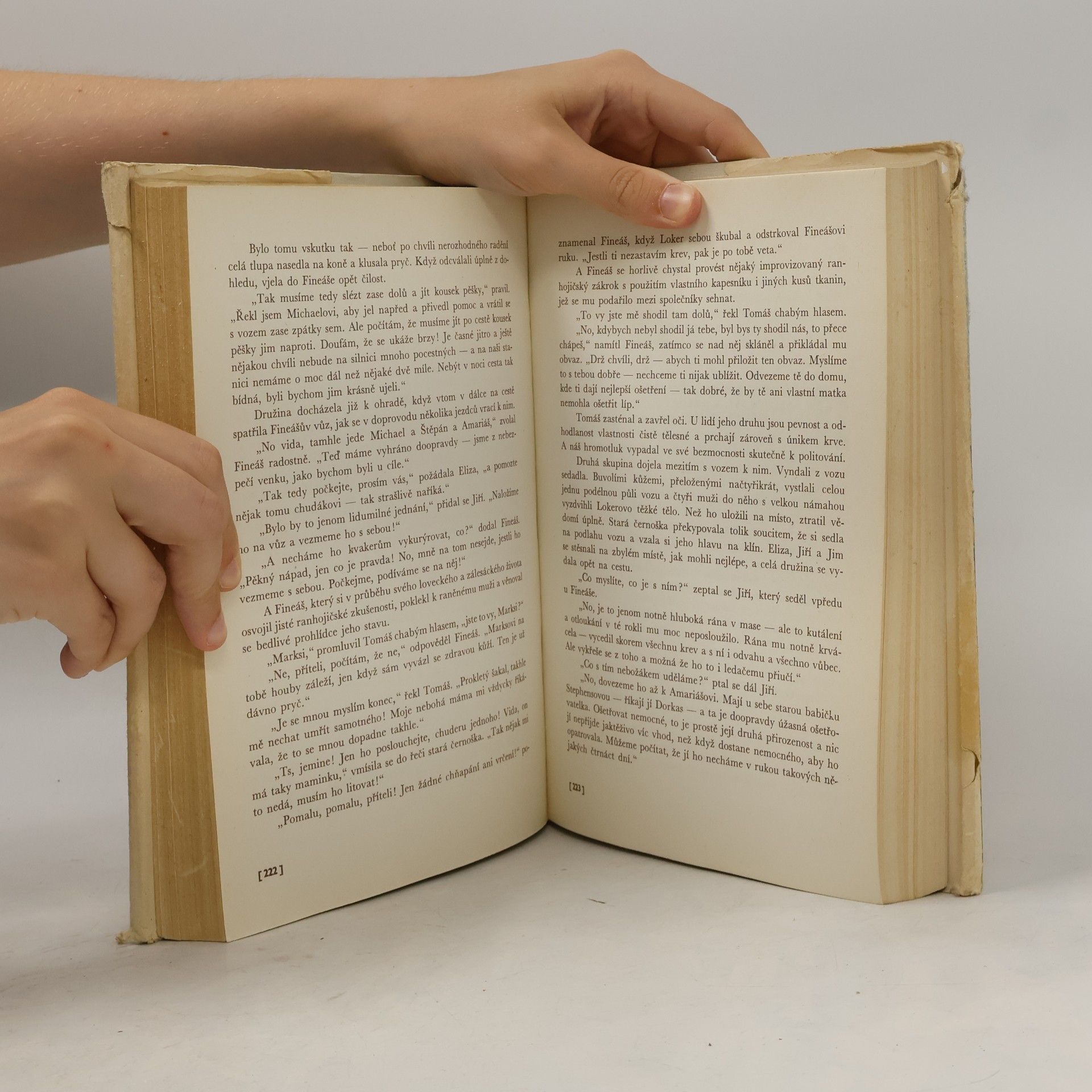 Harriet Beecher Stowe Chaloupka strýčka Toma