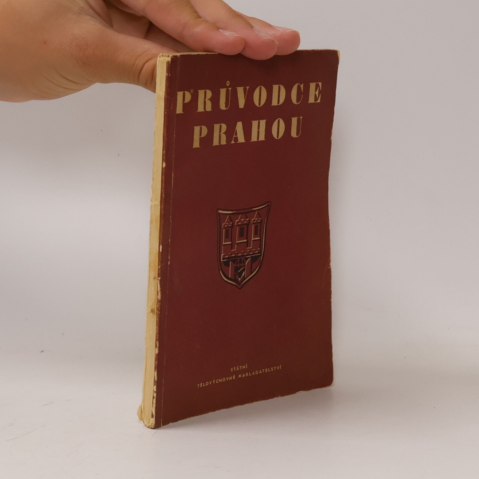 Franz-Josef Fleissig Průvodce Prahou