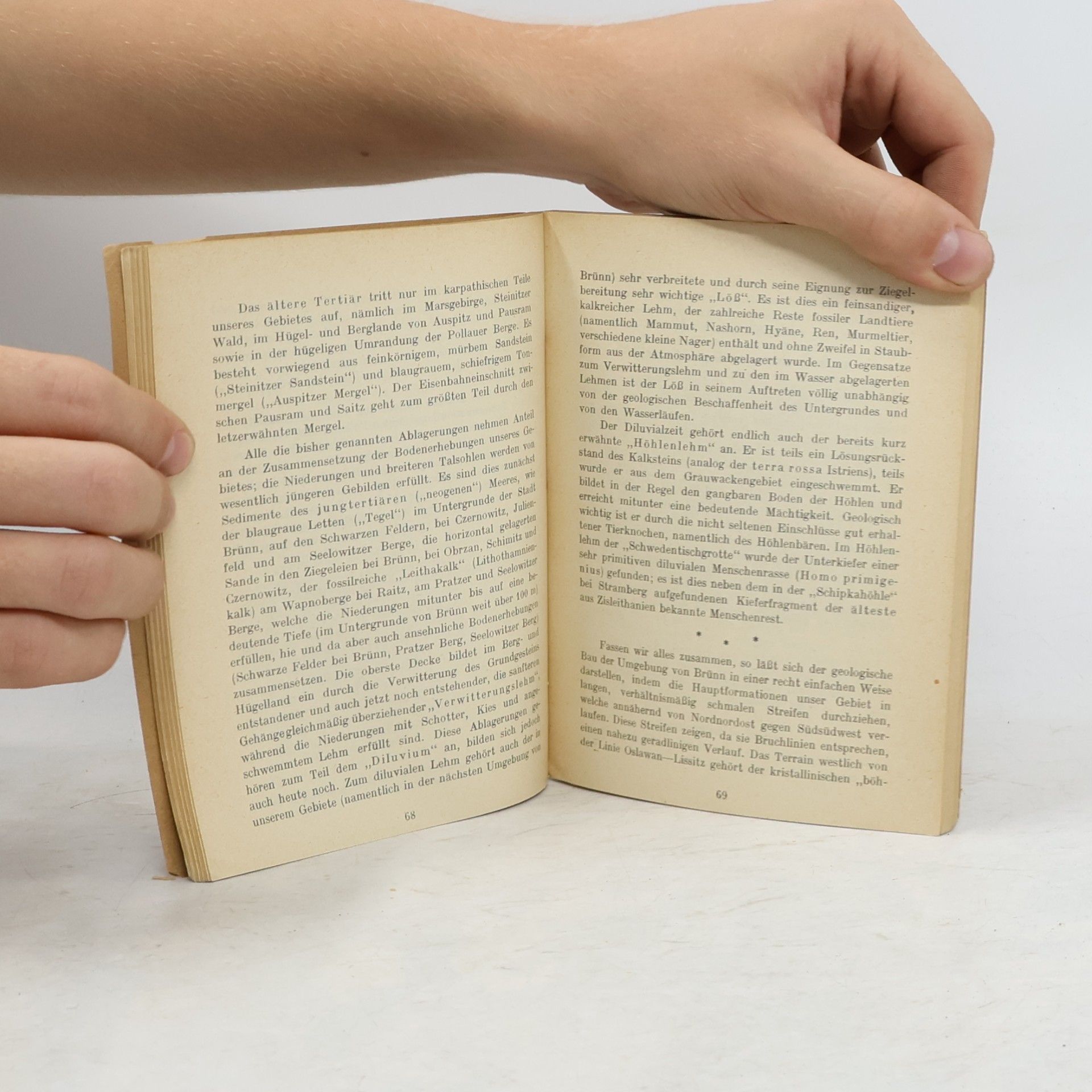 Autorenkollektiv Führer durch Groß-Brünn und seine Umgebung