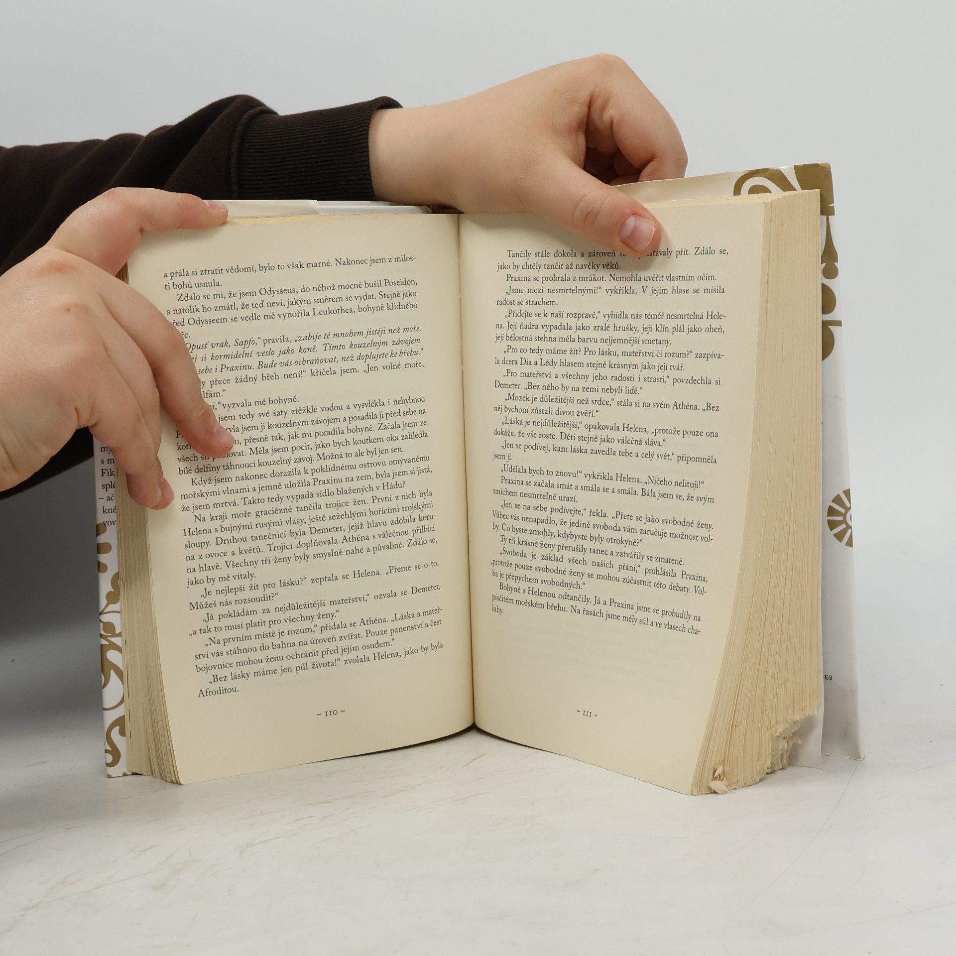 Erica Jong Desátá múza Sapfo