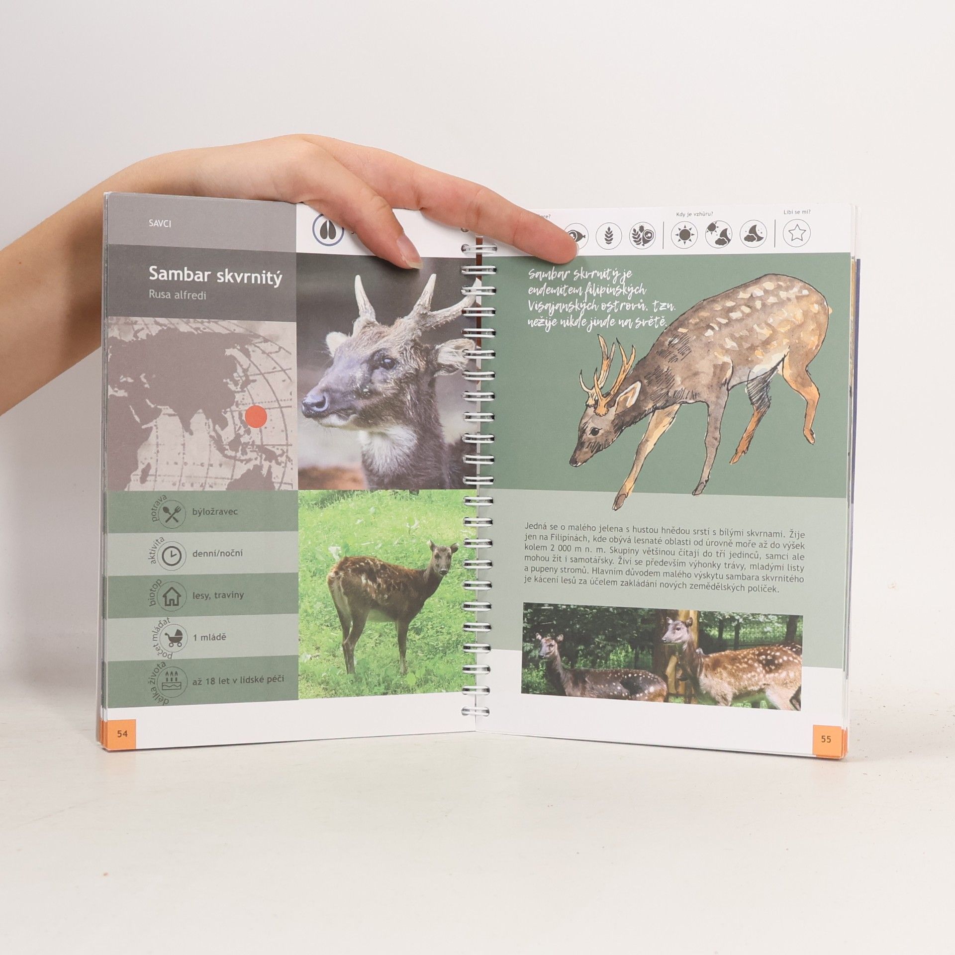 Autorenkollektiv Můj průvodce po liberecké zoo