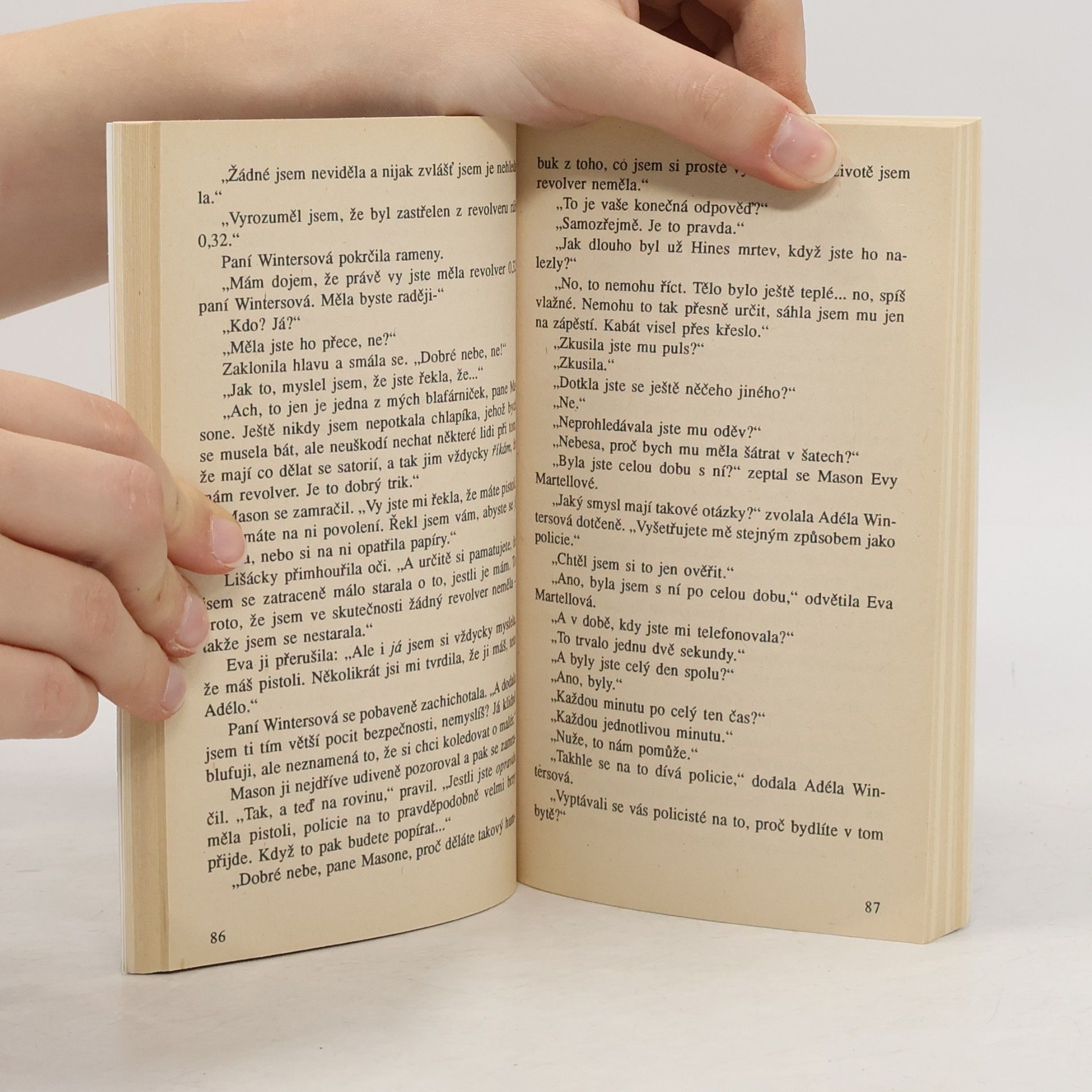 Erle Stanley Gardner Případ vypůjčené brunetky