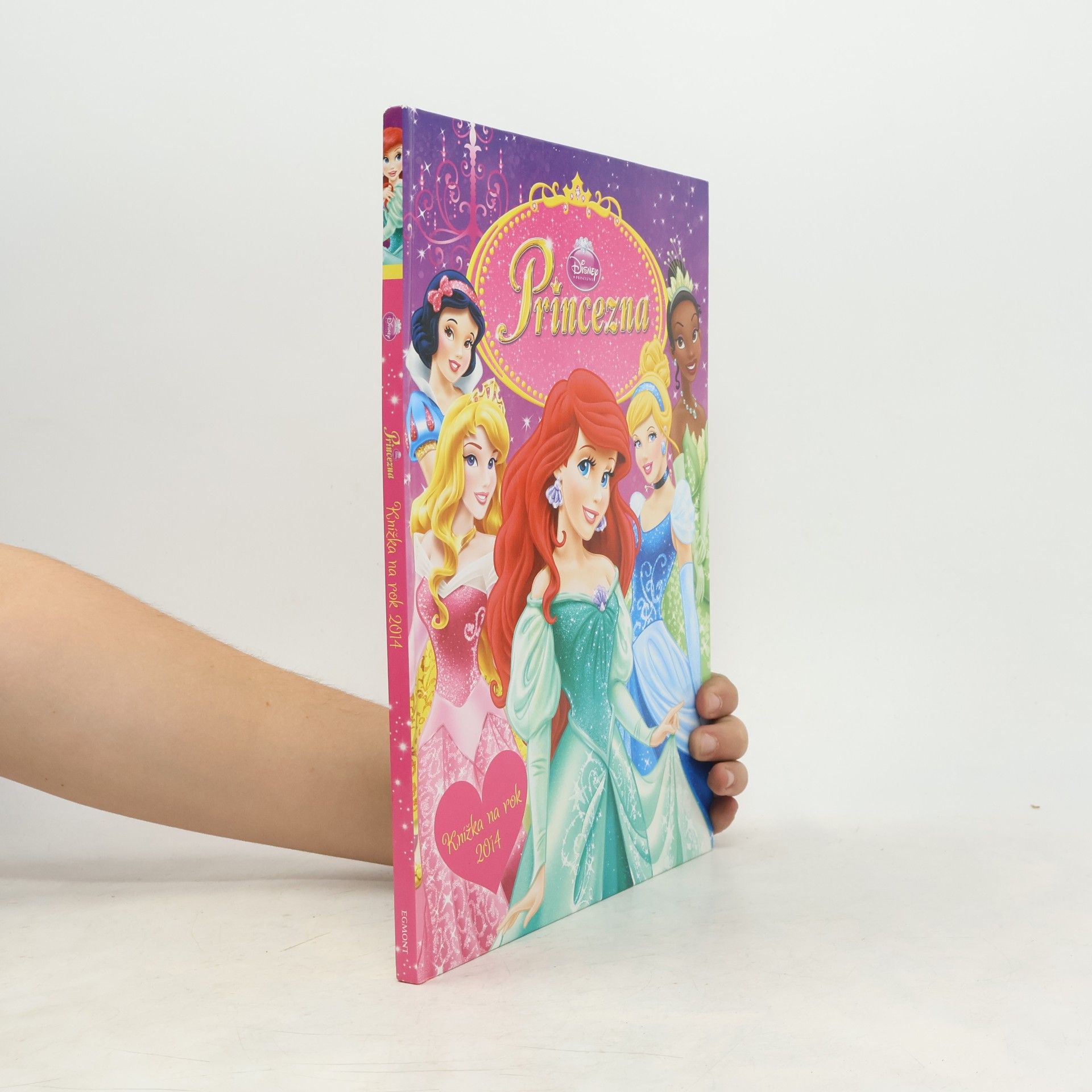 Walt Disney Princezna - Knížka na rok 2014