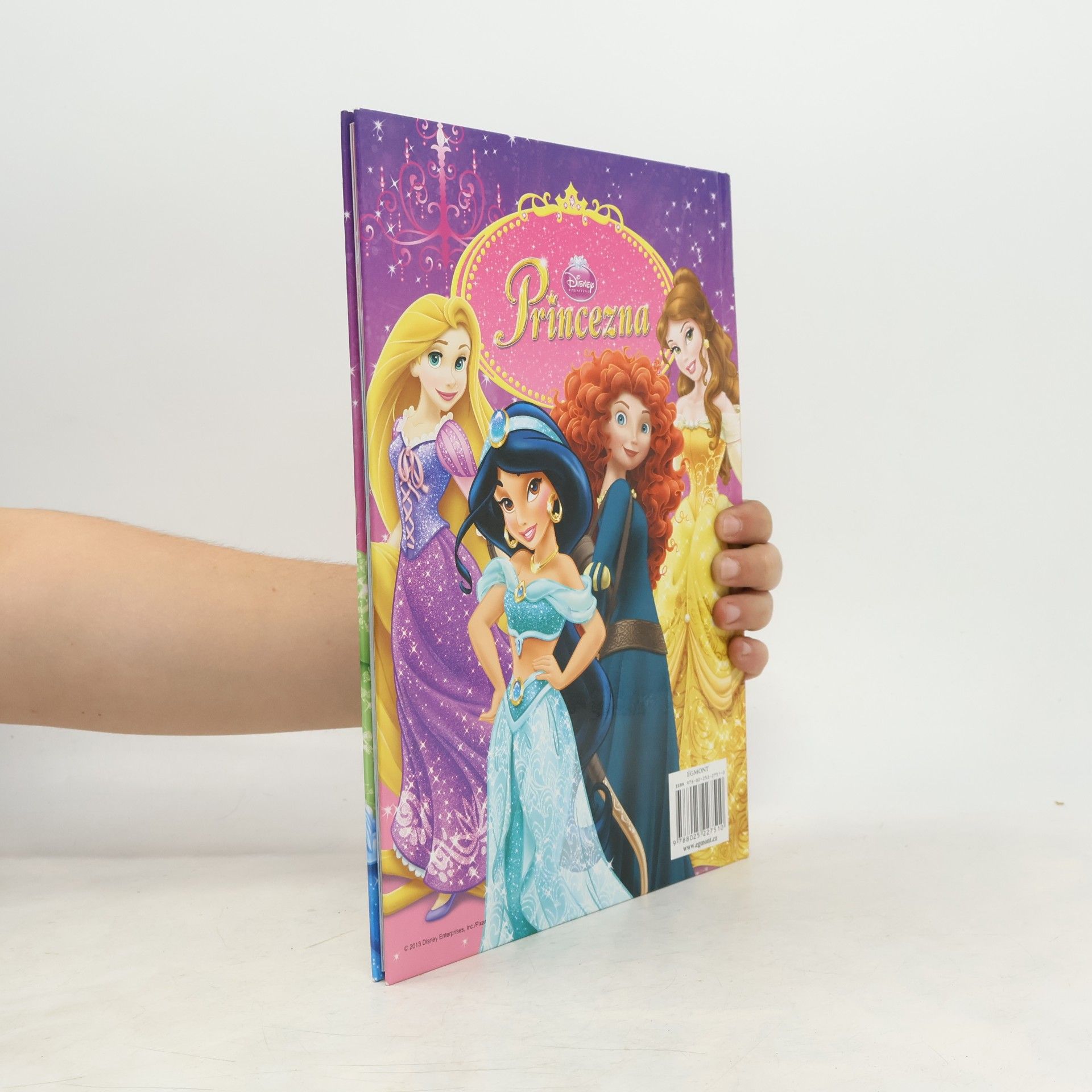 Walt Disney Princezna - Knížka na rok 2014