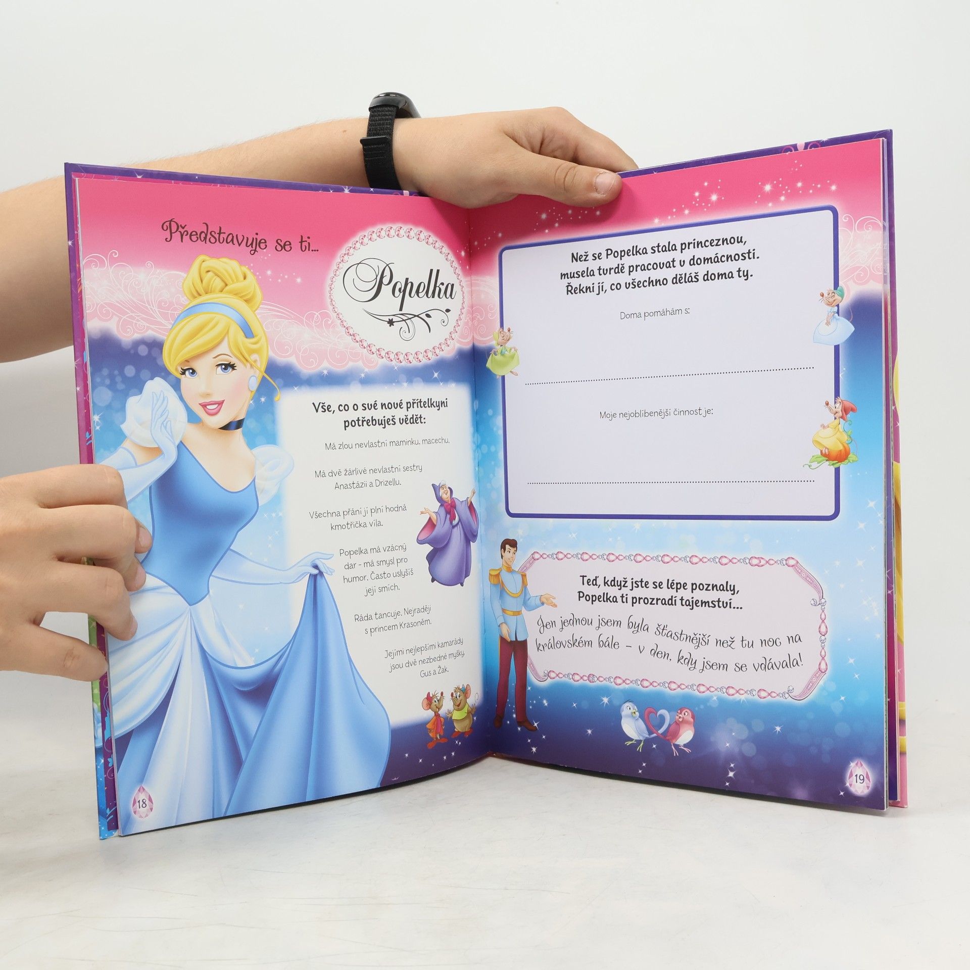 Walt Disney Princezna - Knížka na rok 2014