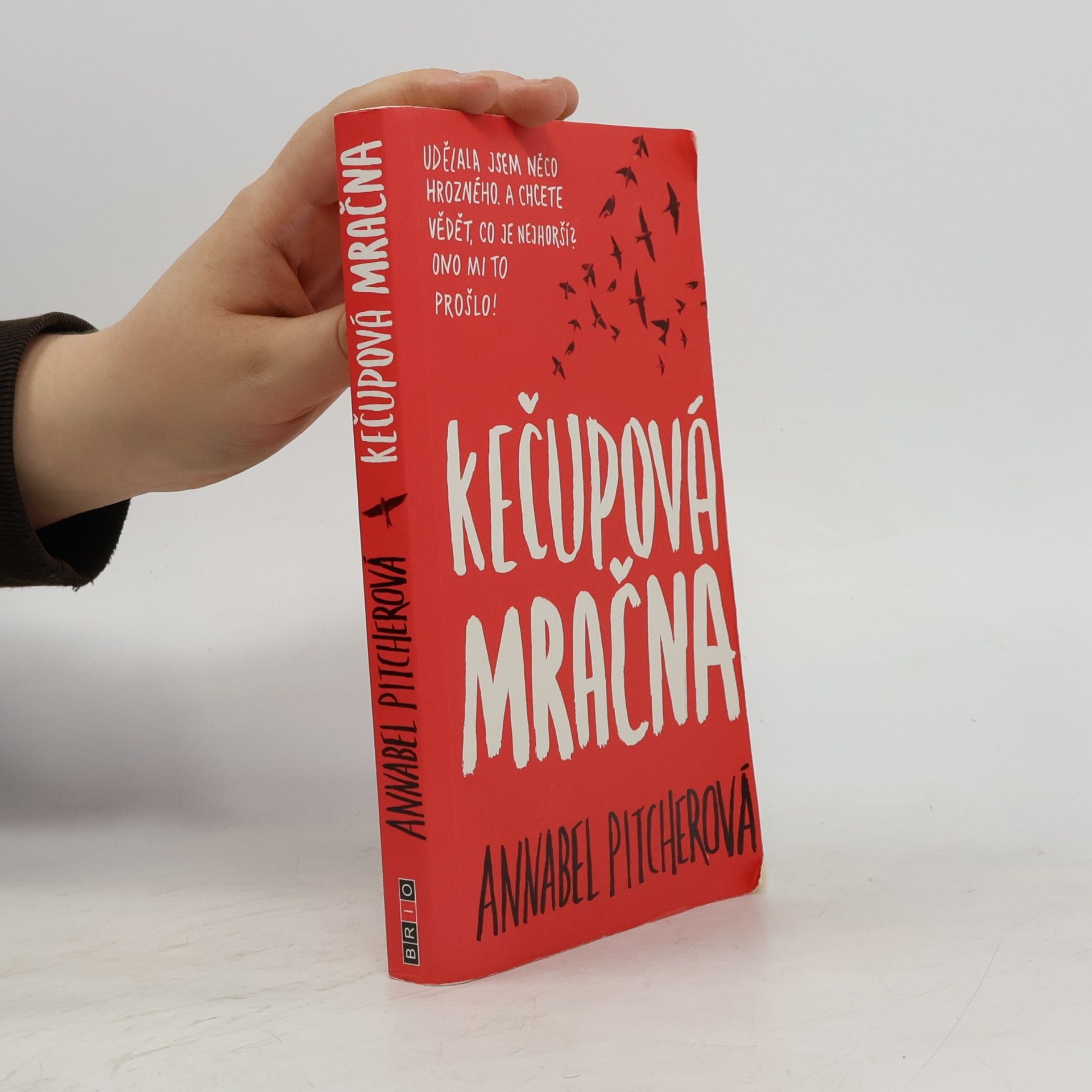 Annabel Pitcher Kečupová mračna