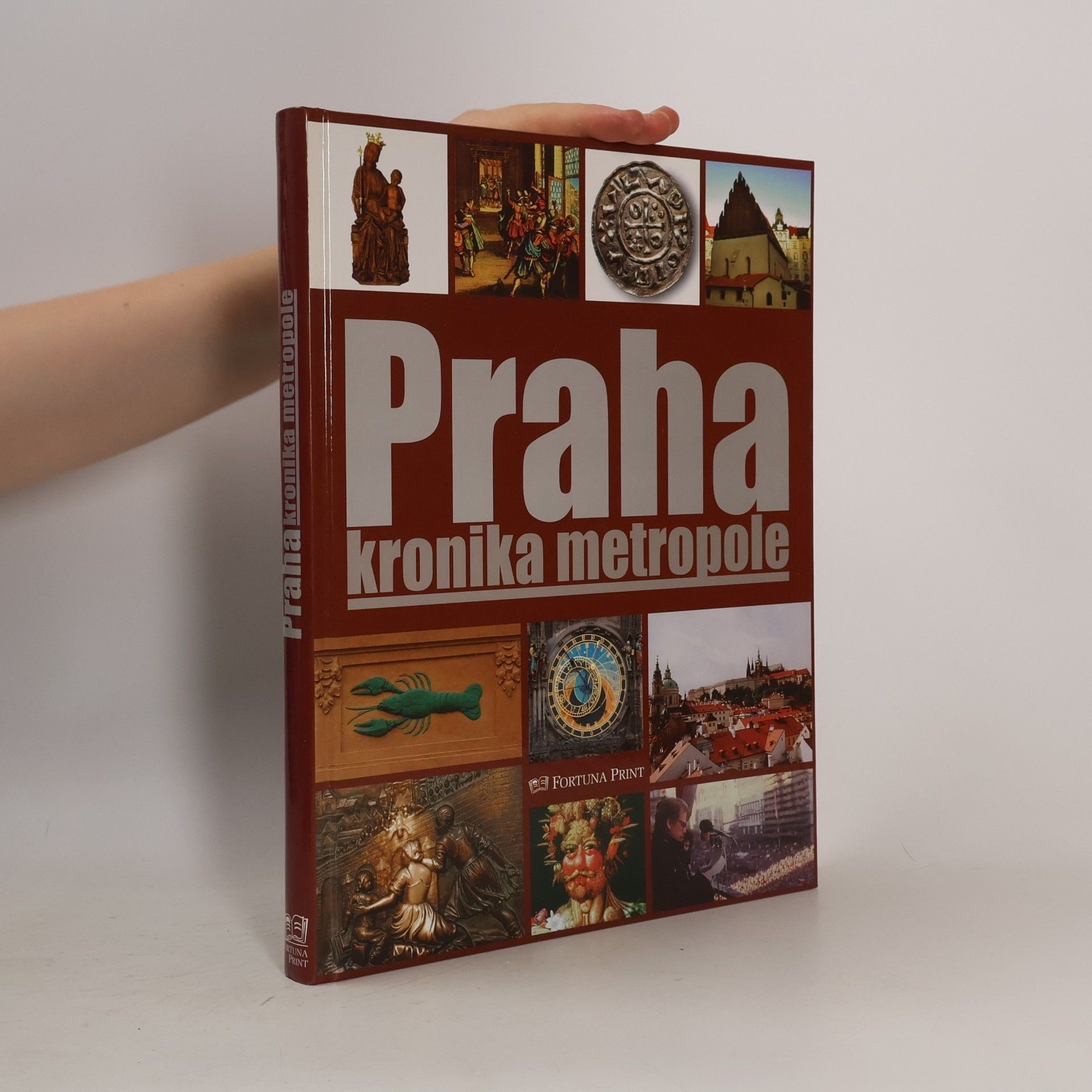 Praha : kronika metropole