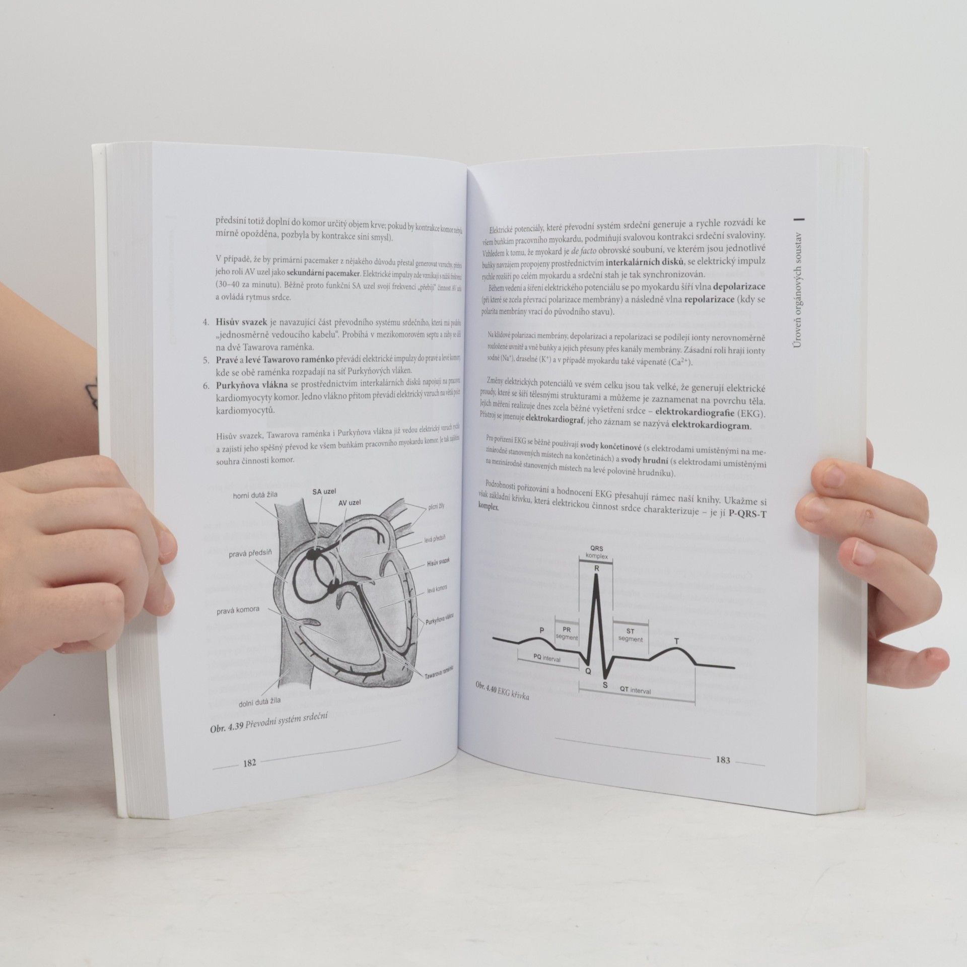 Miroslav Orel Anatomie a fyziologie lidského těla. Pro humanitní obory