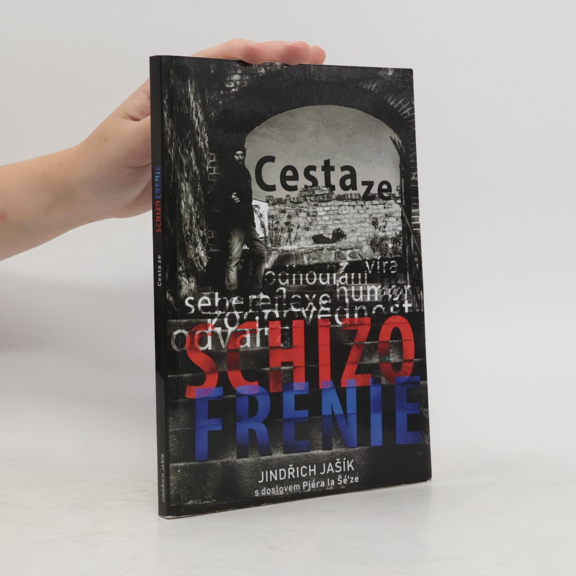 Jindřich Jašík Cesta ze schizofrenie