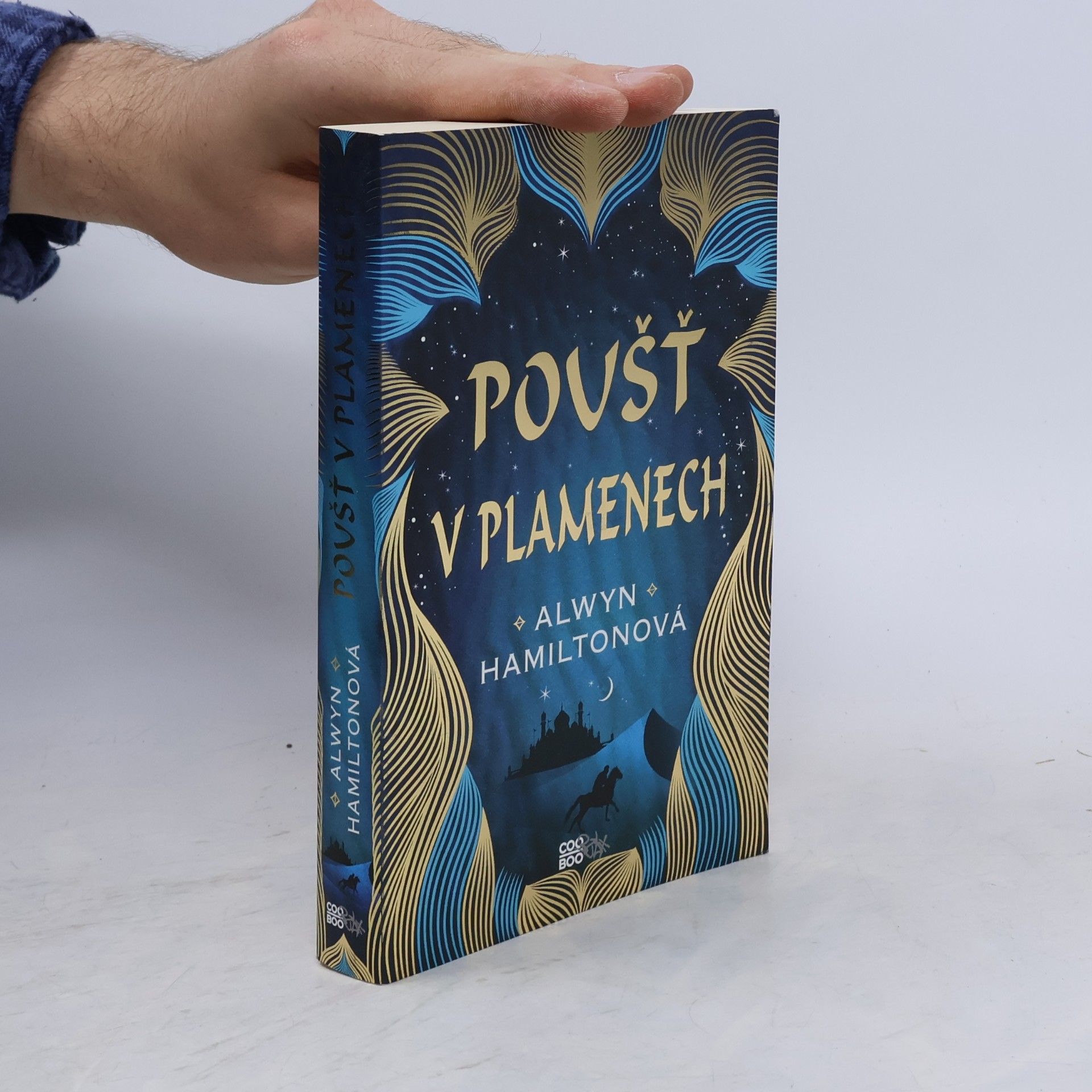 Alwyn Hamilton Poušť v plamenech