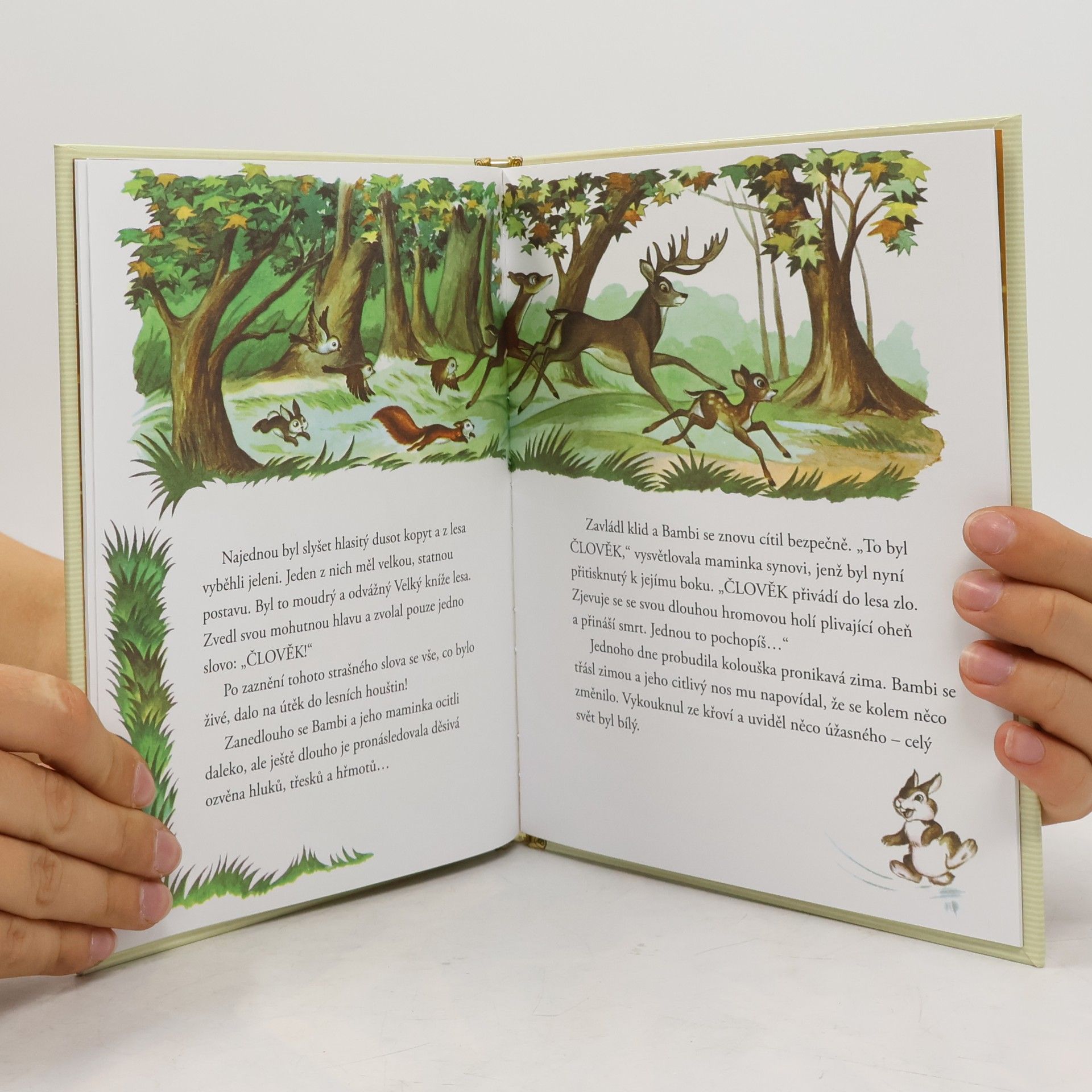 Walt Disney Zlatá sbírka pohádek 4. Bambi