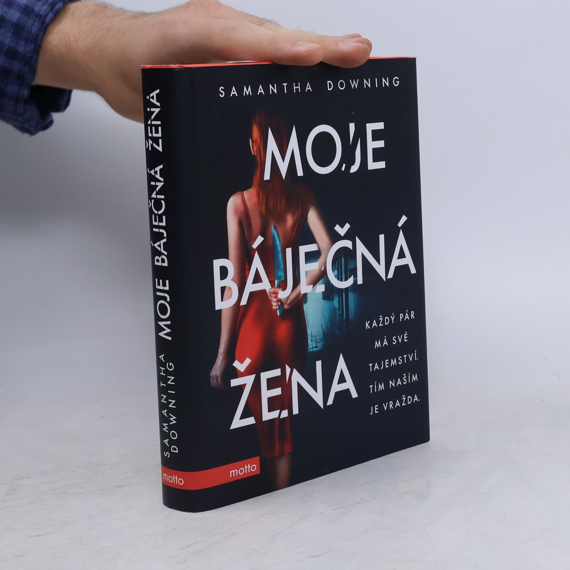 Samantha Downing Moje báječná žena