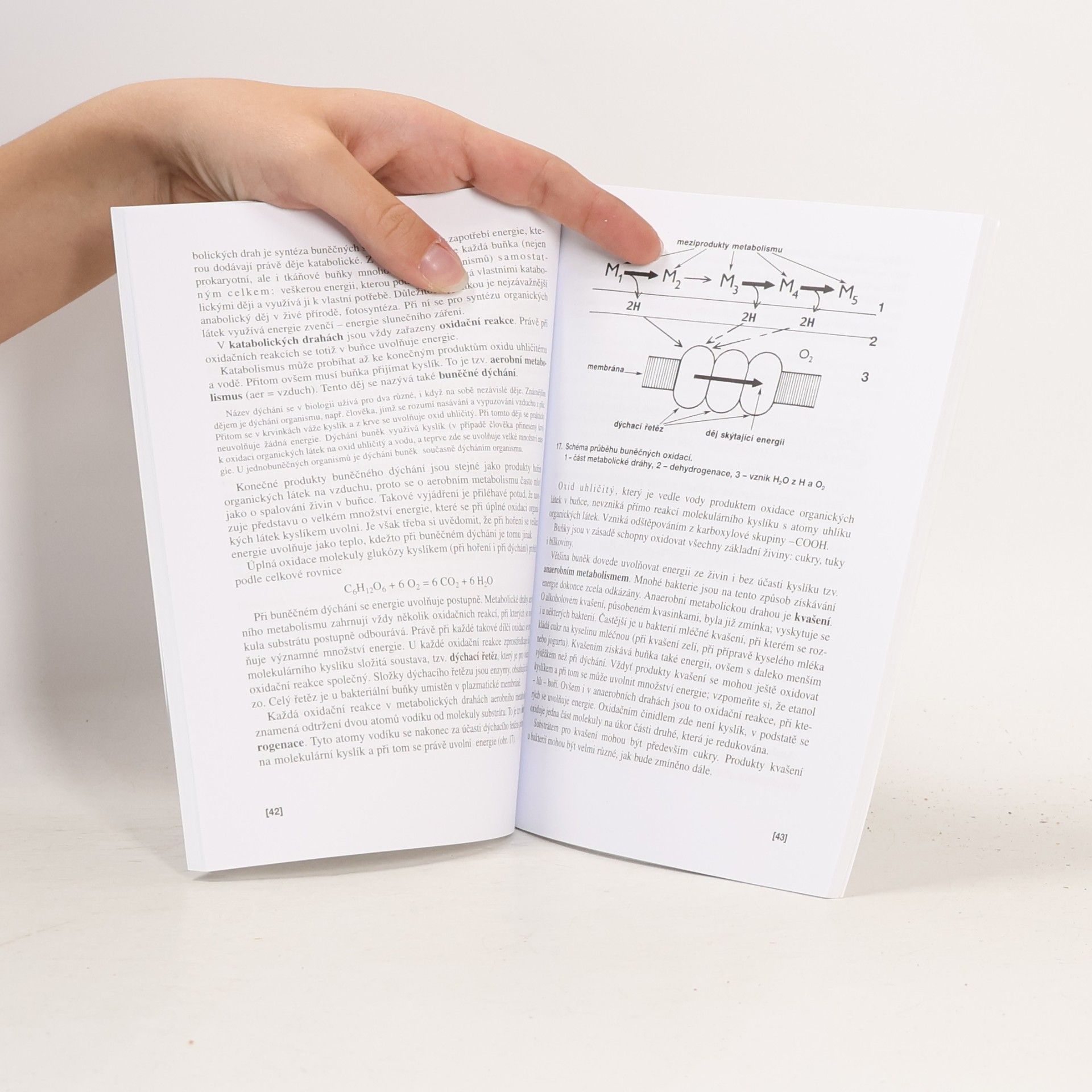 Václav Kubišta Obecná biologie. Úvodní učební text biologie pro 1. ročník gymnázií