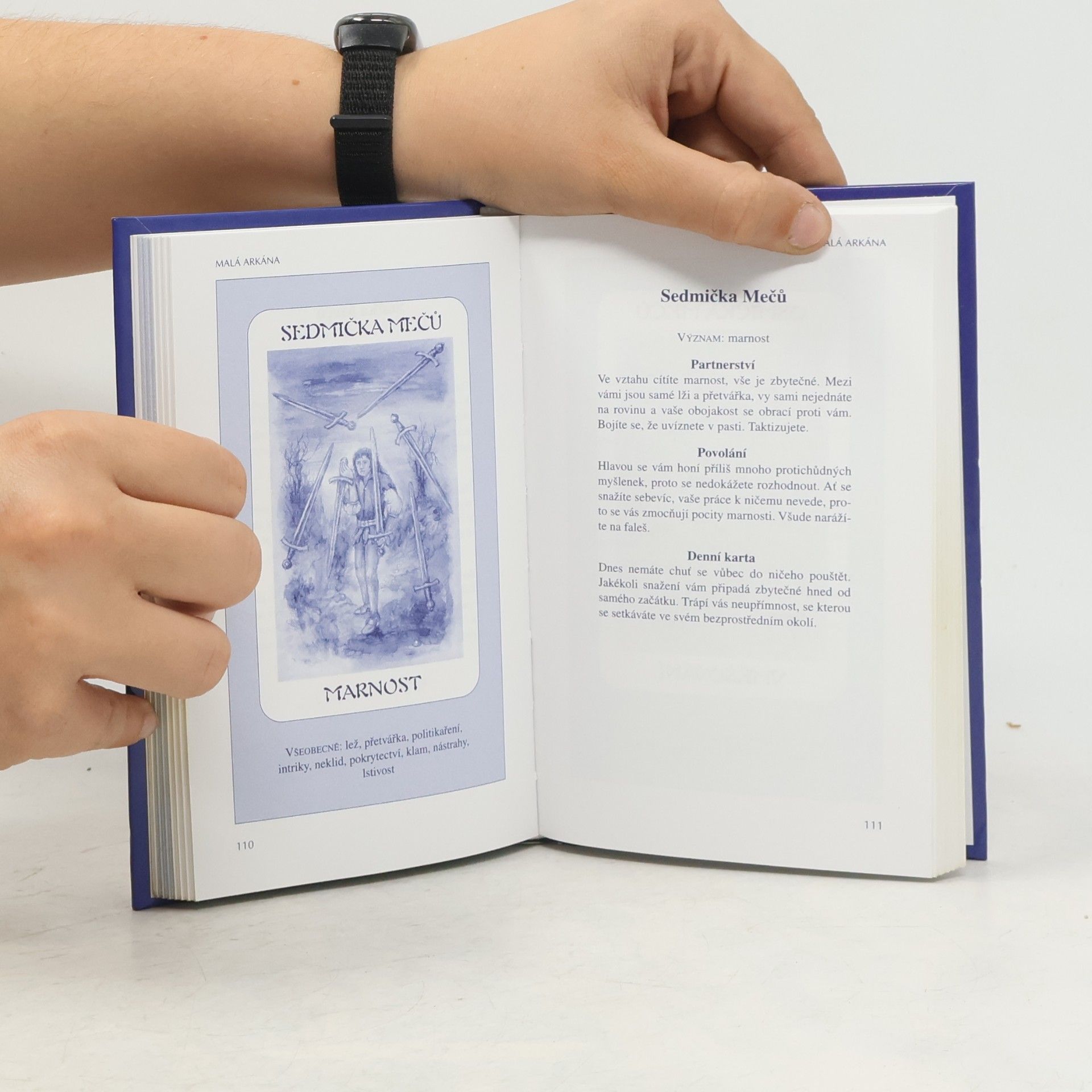 Renata Herber Poselství tarotu + tarotové karty