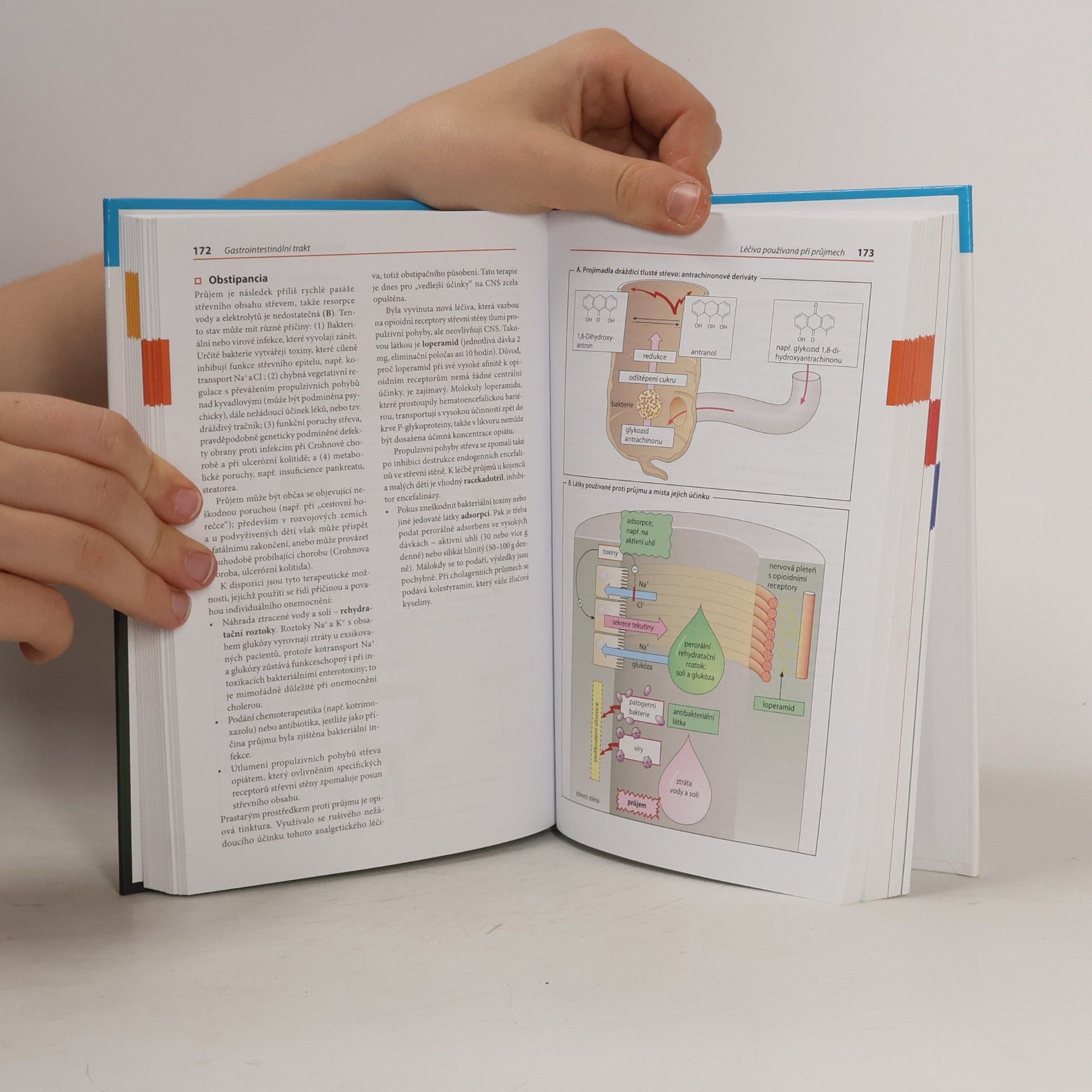 Autorenkollektiv Barevný atlas farmakologie