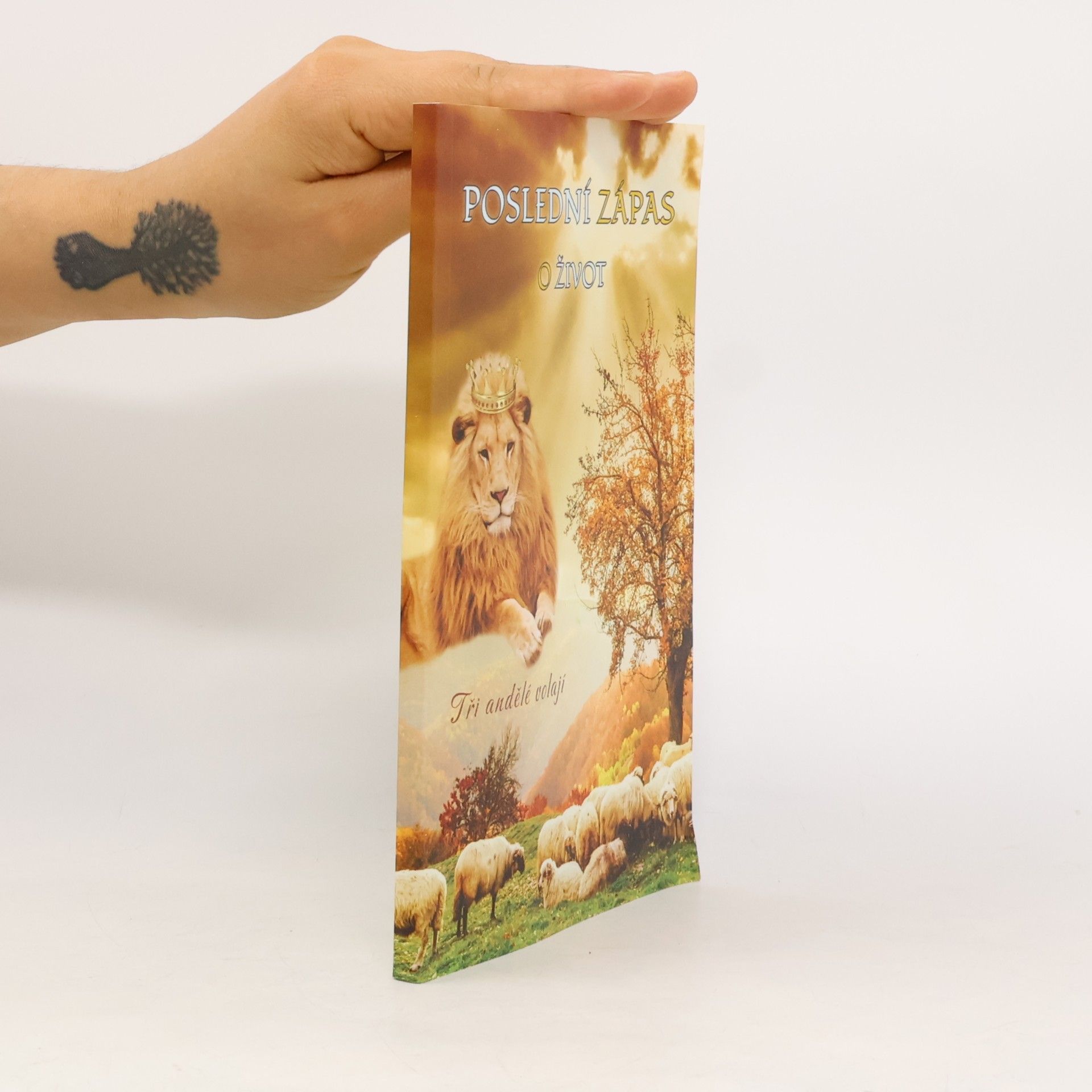 Sara Kollárová Poslední zápas o život Tři andělé volají