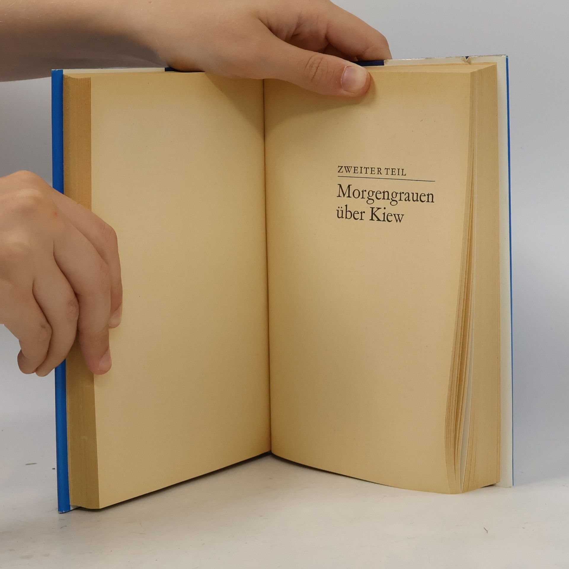 Autorenkollektiv Woroshejkin Jagdflieger 2