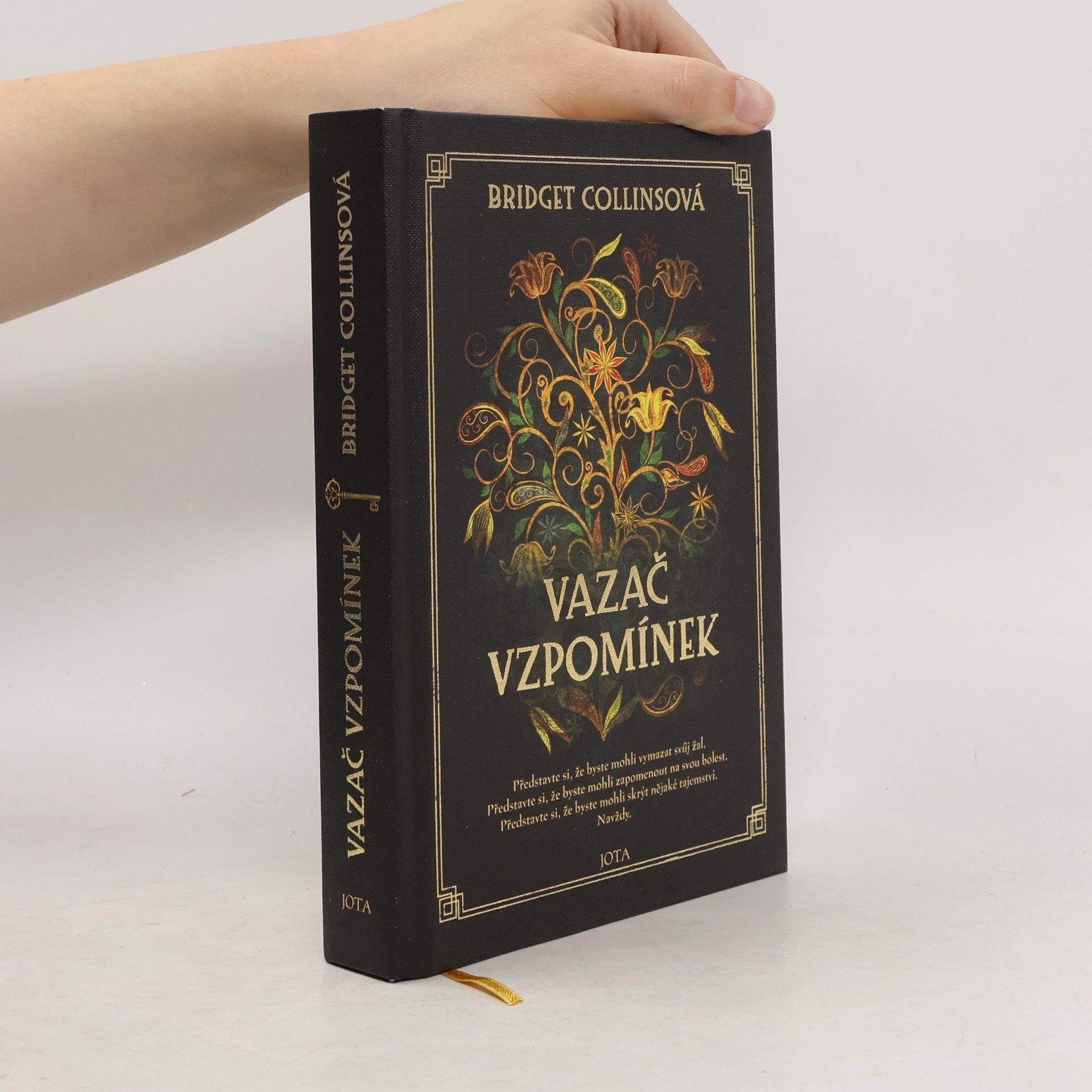 Bridget Collins Vazač vzpomínek