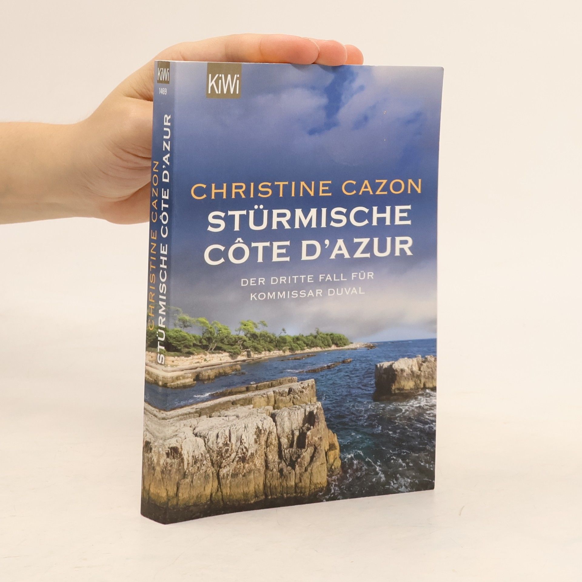 Christine Cazon Stürmische Cote d´Azur