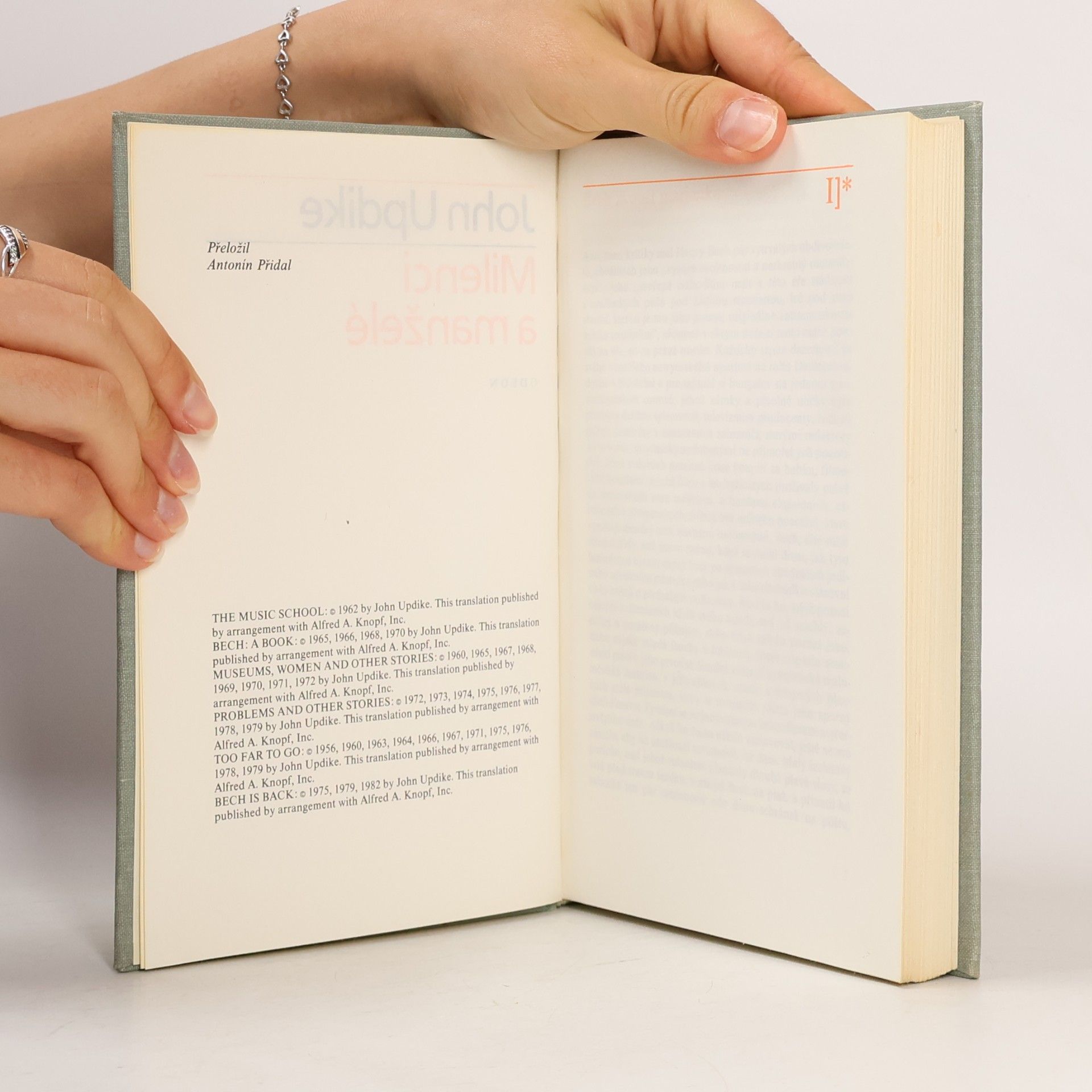 John Updike Milenci a manželé