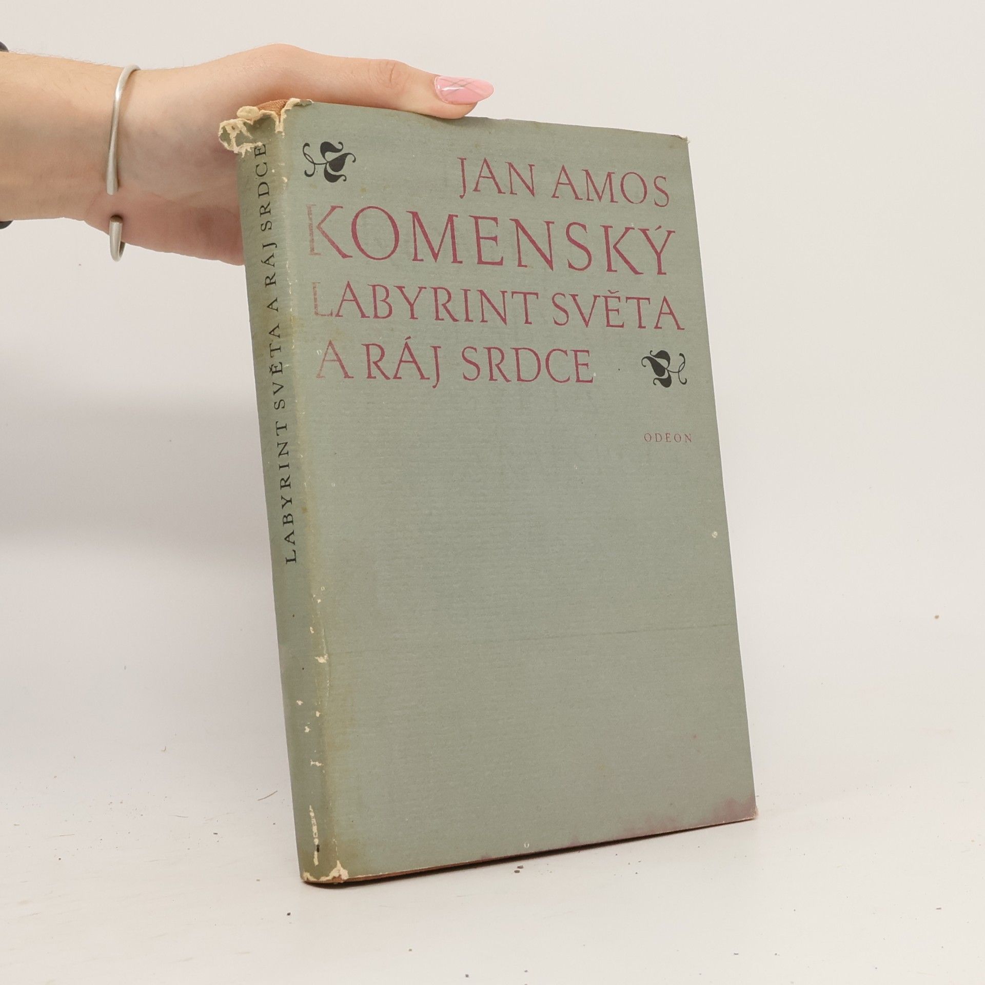 John Amos Comenius Labyrint světa a ráj srdce