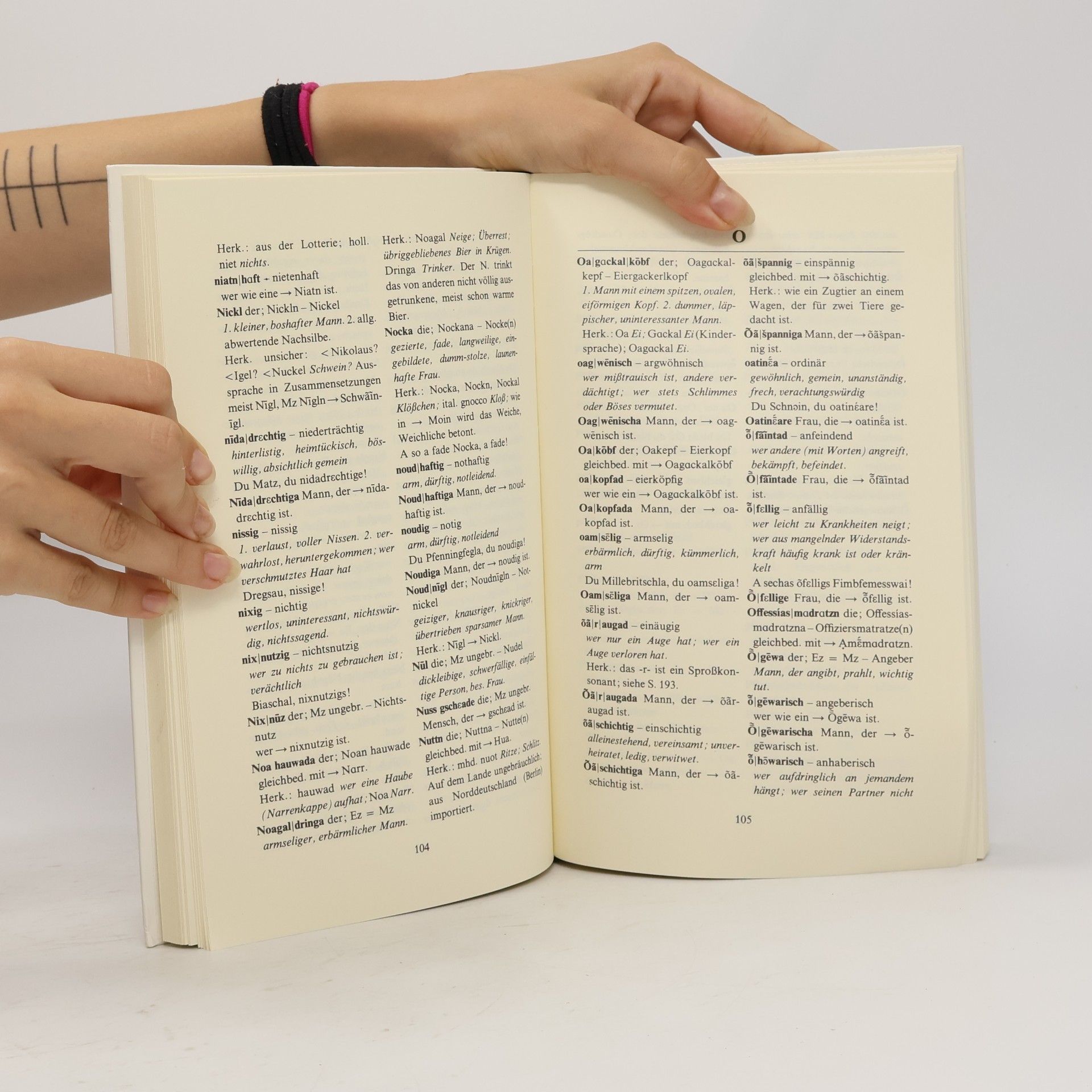 Reinhold Aman Bayrisch-Österreichisches Schimpfwörterbuch