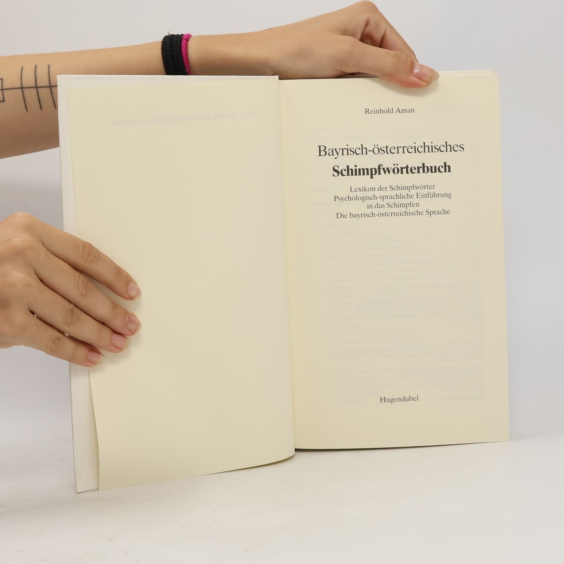 Reinhold Aman Bayrisch-Österreichisches Schimpfwörterbuch