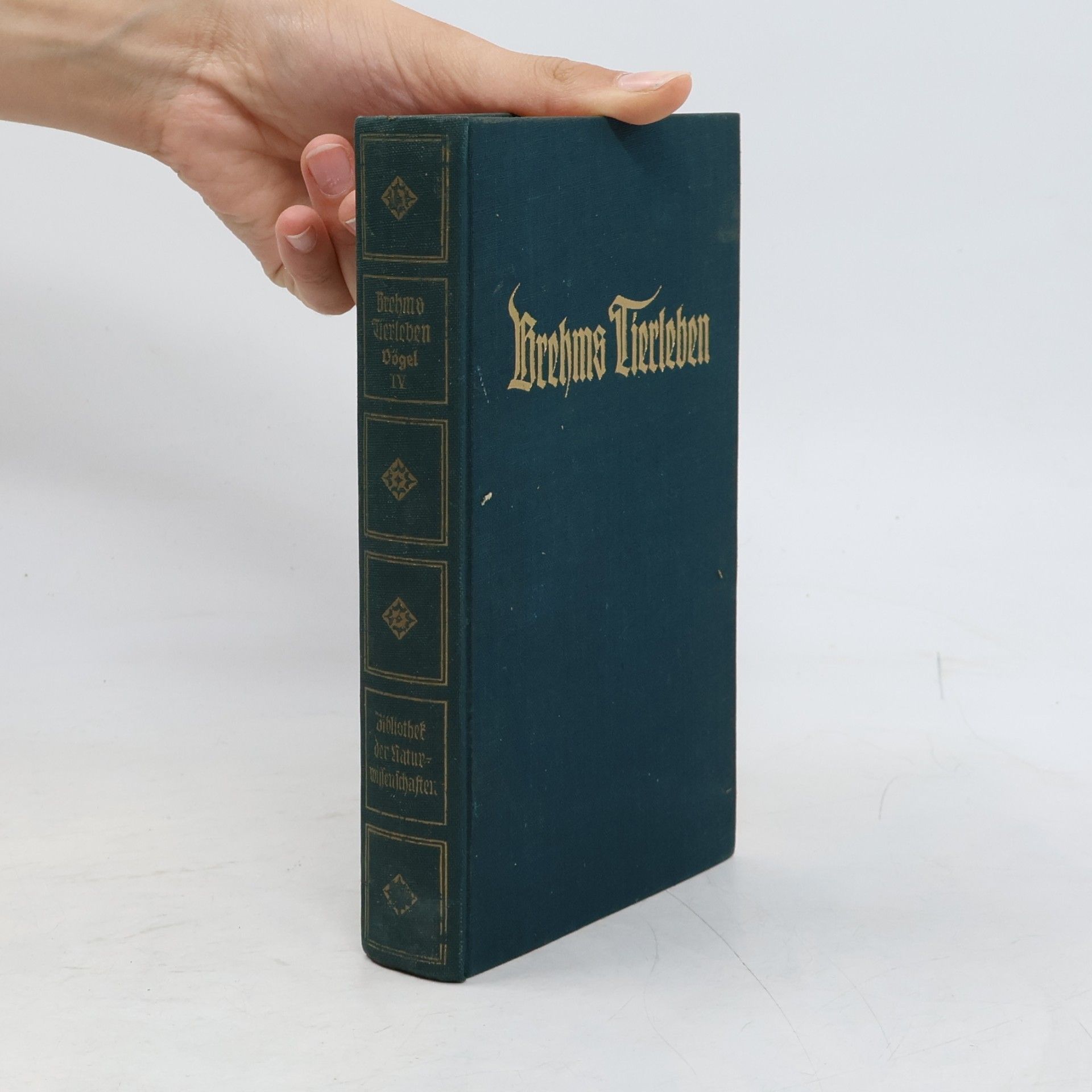Alfred Edmund Brehm Brehms Tierleben 17