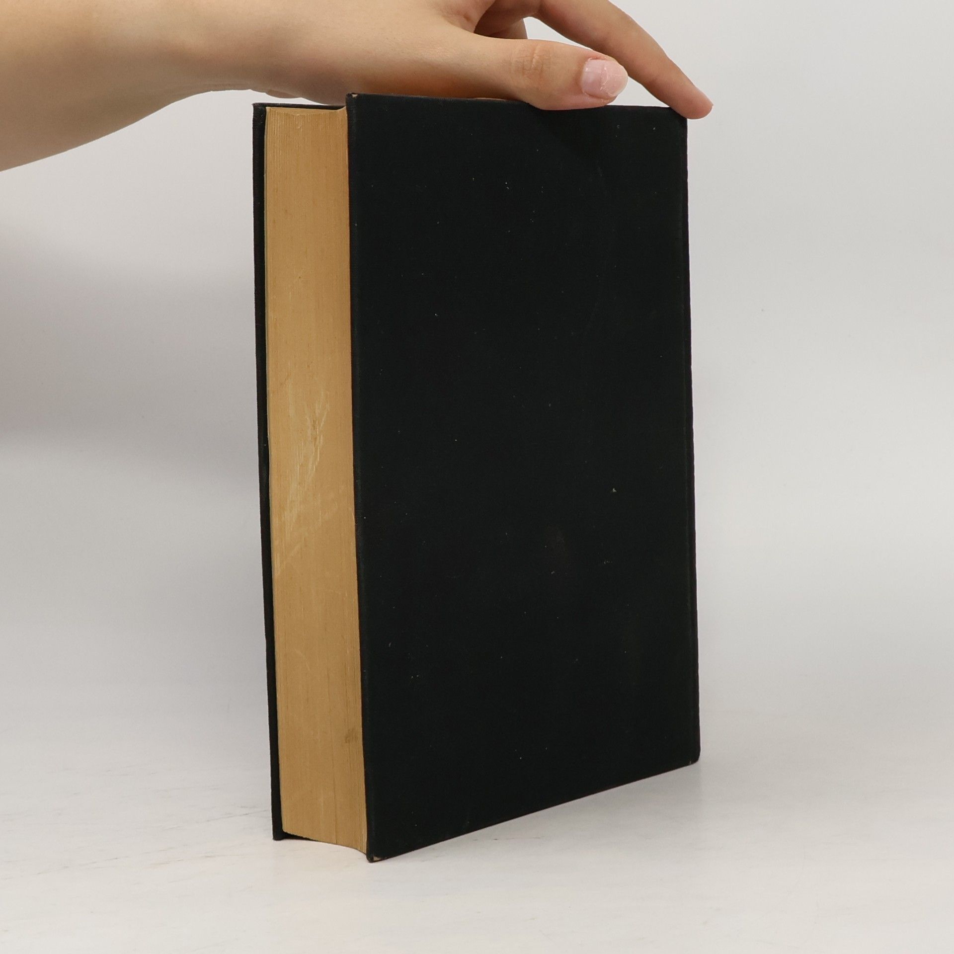 Otto Model Handbuch zum Testaments und Erbschaft Steurrecht