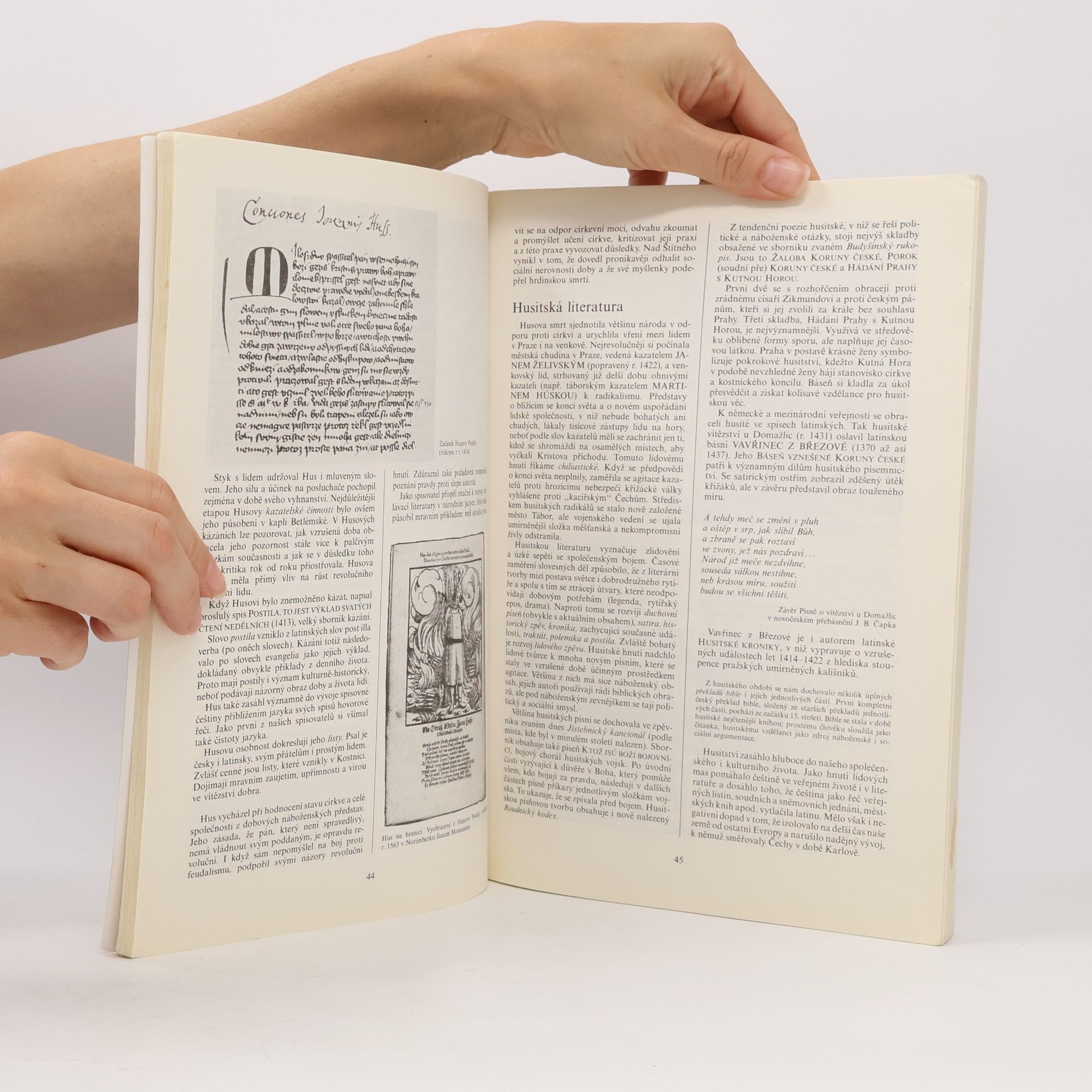 Bohuš Balajka Přehledné dějiny literatury I. do devadesátých let 19. století